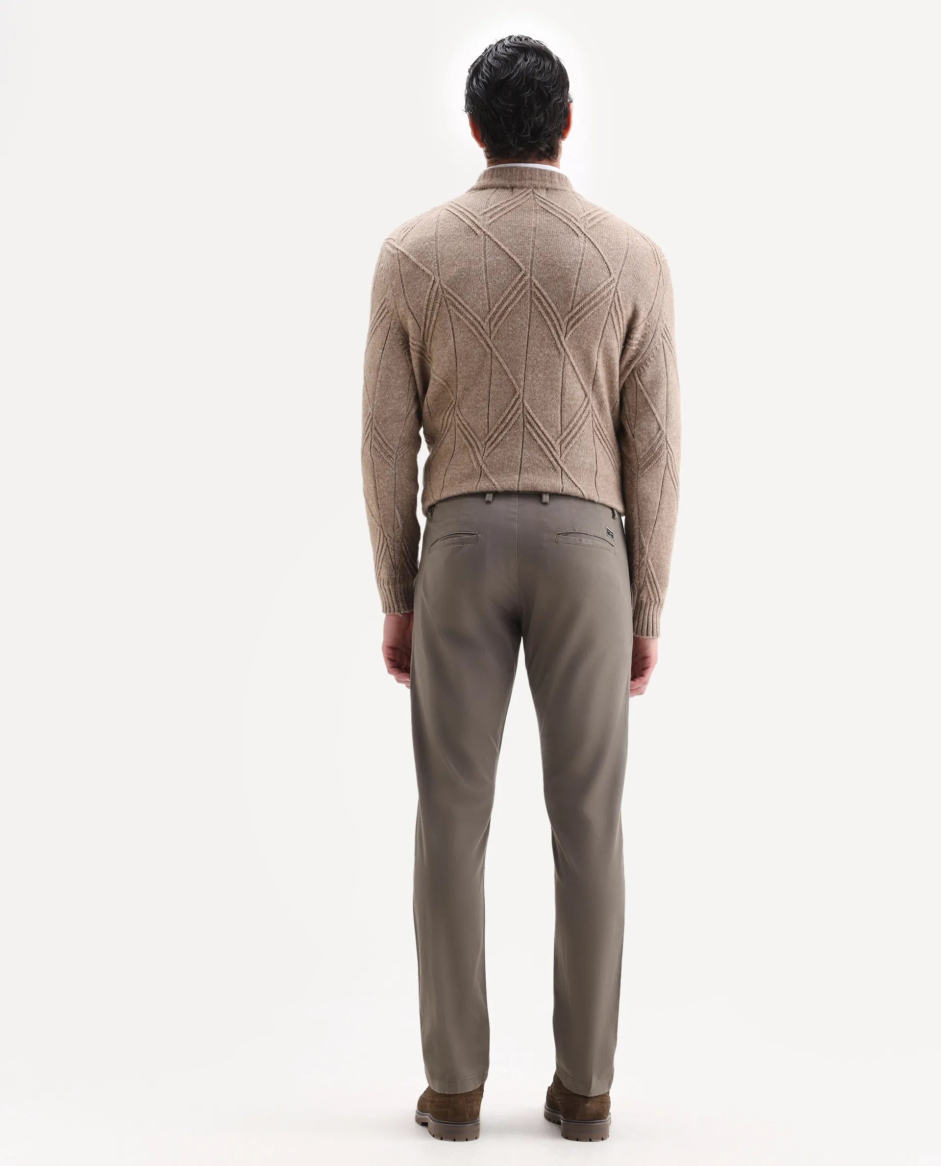 Rare Rabbit Men's Trans Khaki Cotton Plain Regular Fit Trouser