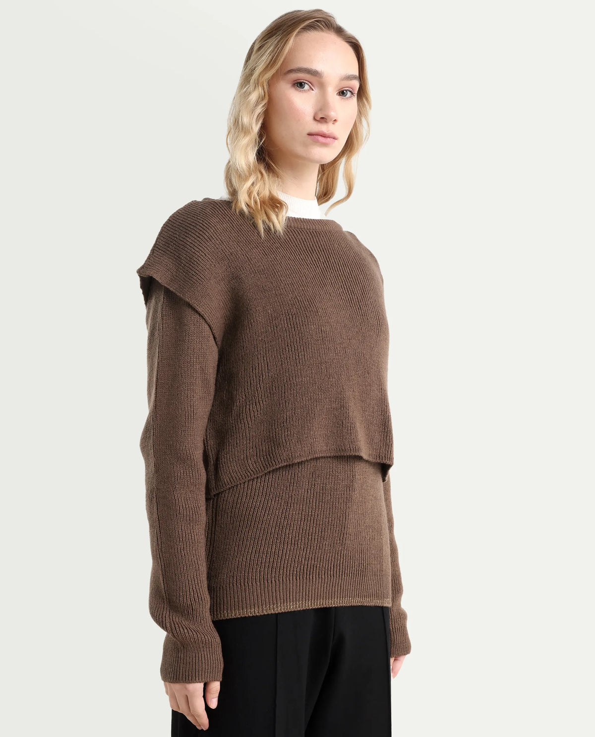 Rareism Women's Tupfel Brown Acrylic Crew Neck Plain Regular Fit Sweater