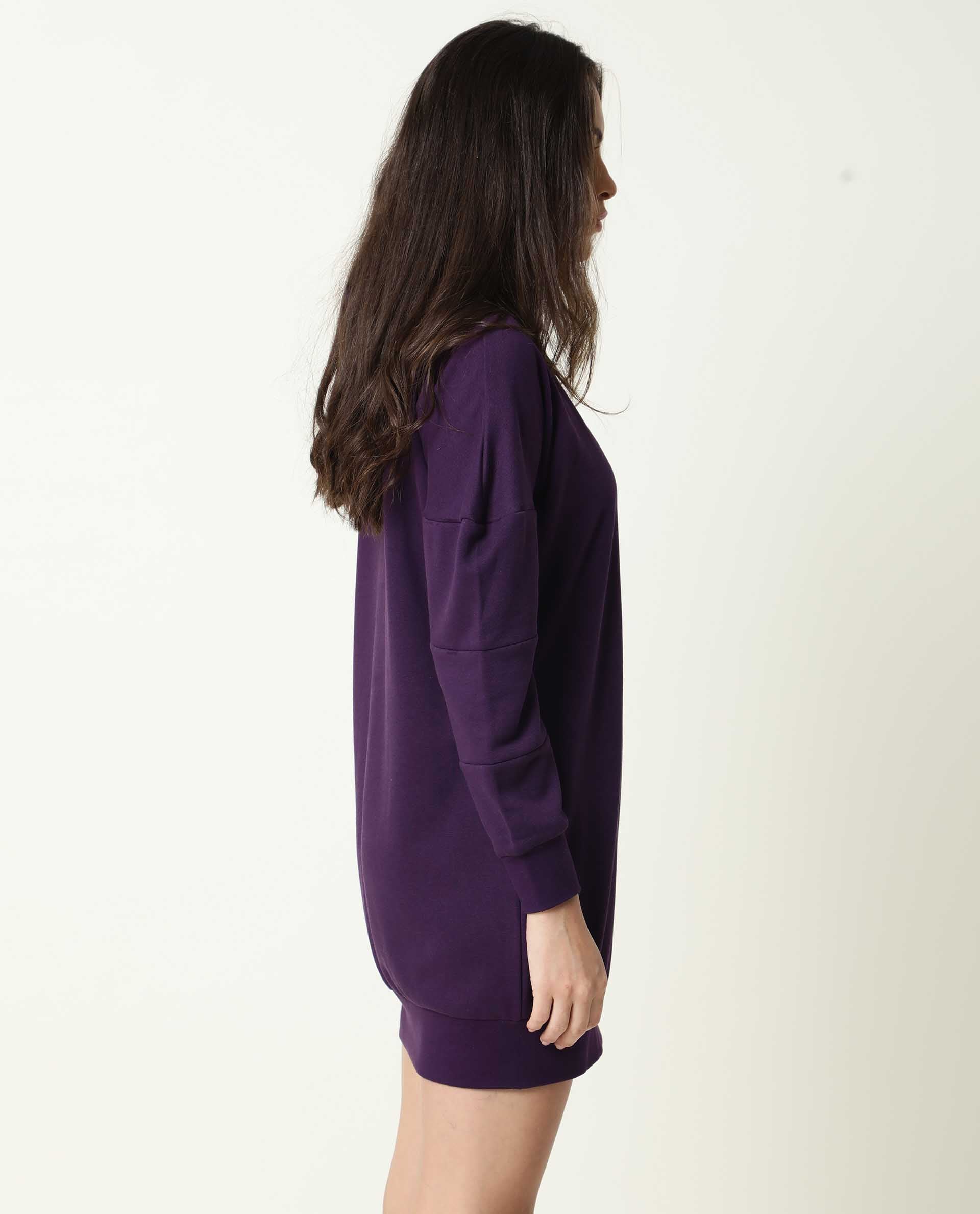 Rareism Women Owes Purple Cotton Fabric Regular Fit Full Sleeves Solid Hooded Sweatshirt