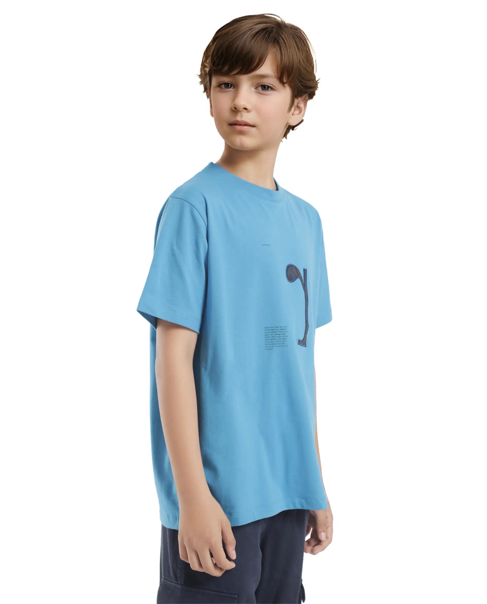 Rare Ones Kids Vel Blue Cotton Half Sleeves Crew Neck Embroidered Print T-Shirt
