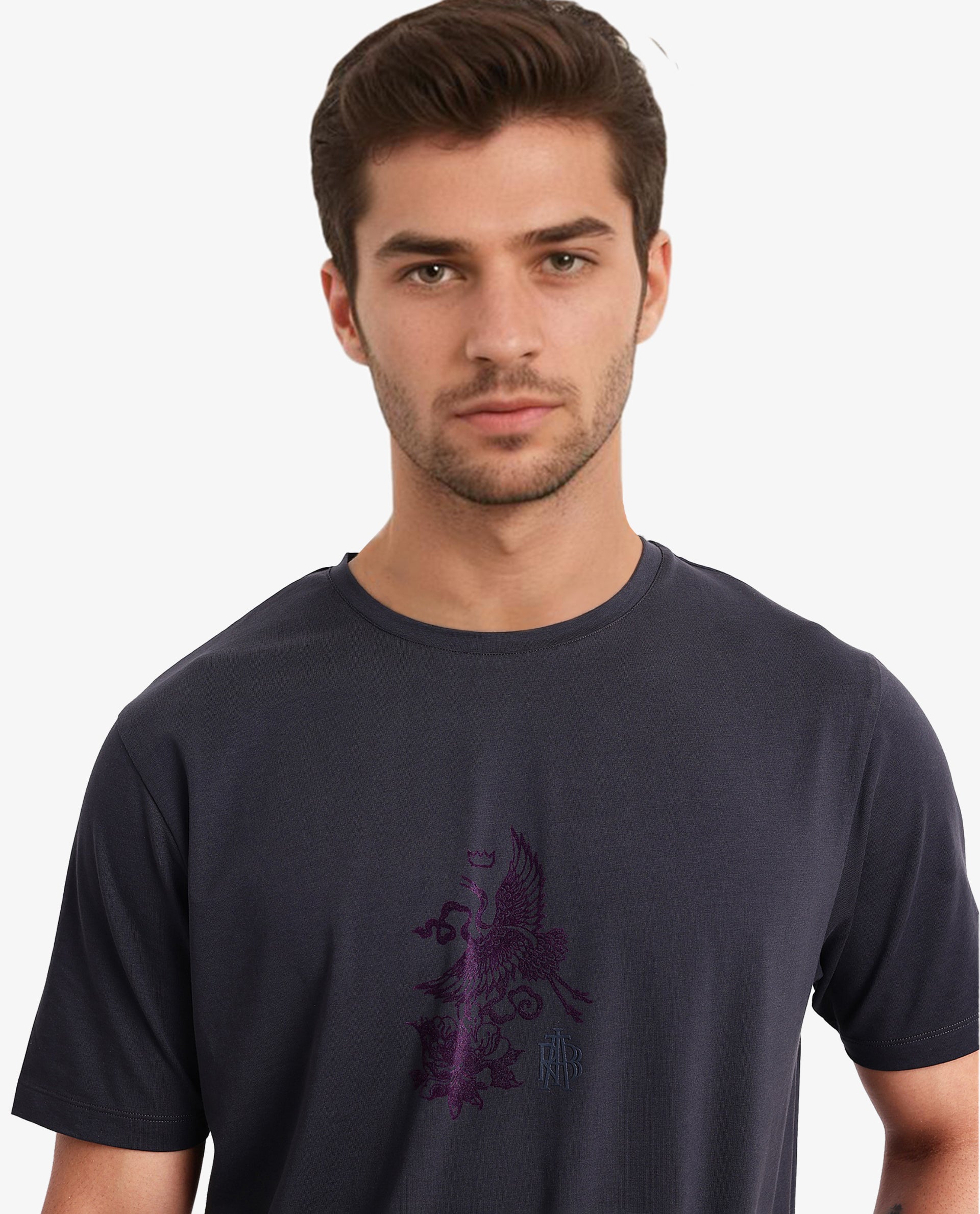 Rare Rabbit Men Volvo Dark Grey Cotton Lycra Fabric Short Sleeve Crew Neck Regular Fit Graphic Print T-Shirt