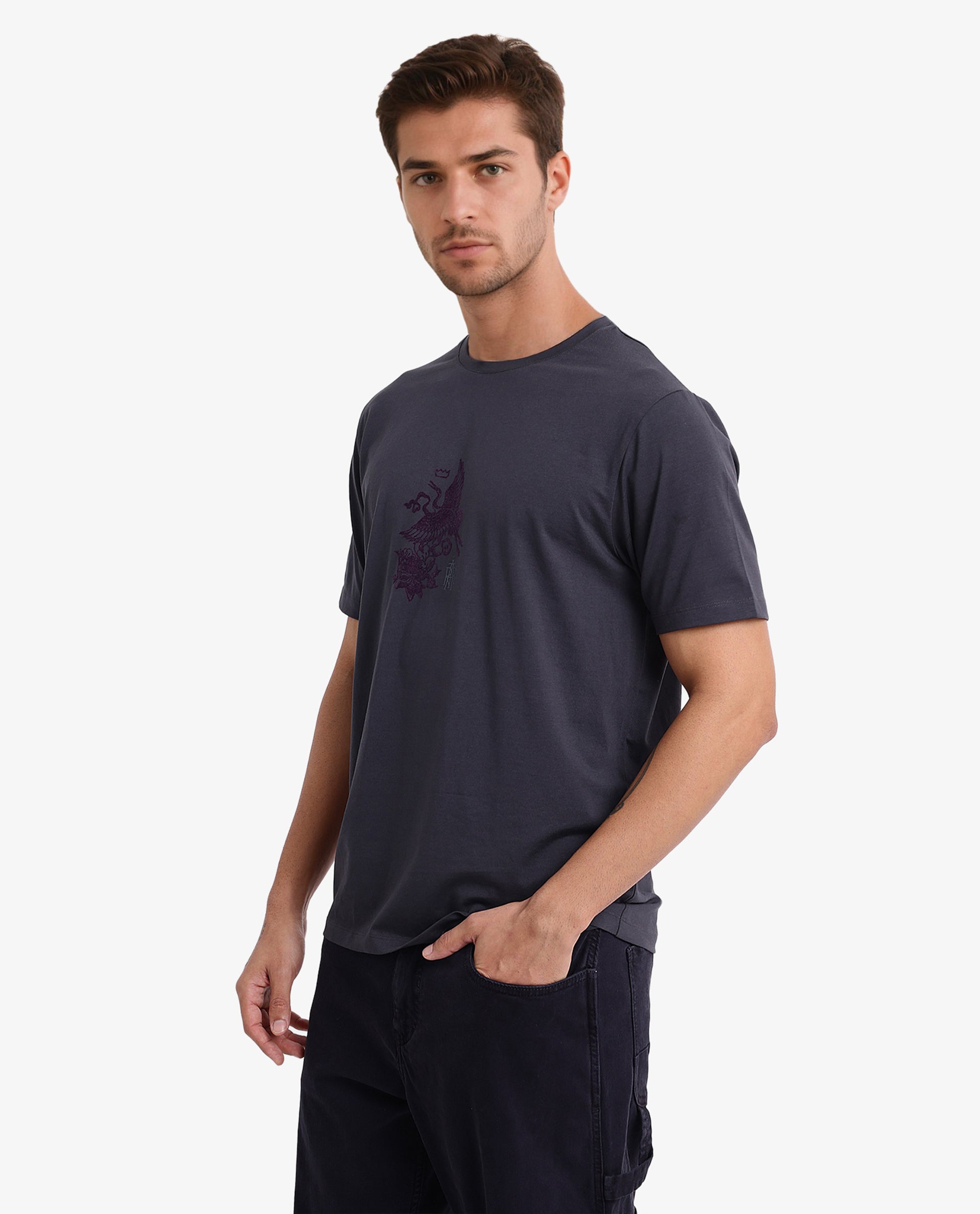 Rare Rabbit Men Volvo Dark Grey Cotton Lycra Fabric Short Sleeve Crew Neck Regular Fit Graphic Print T-Shirt