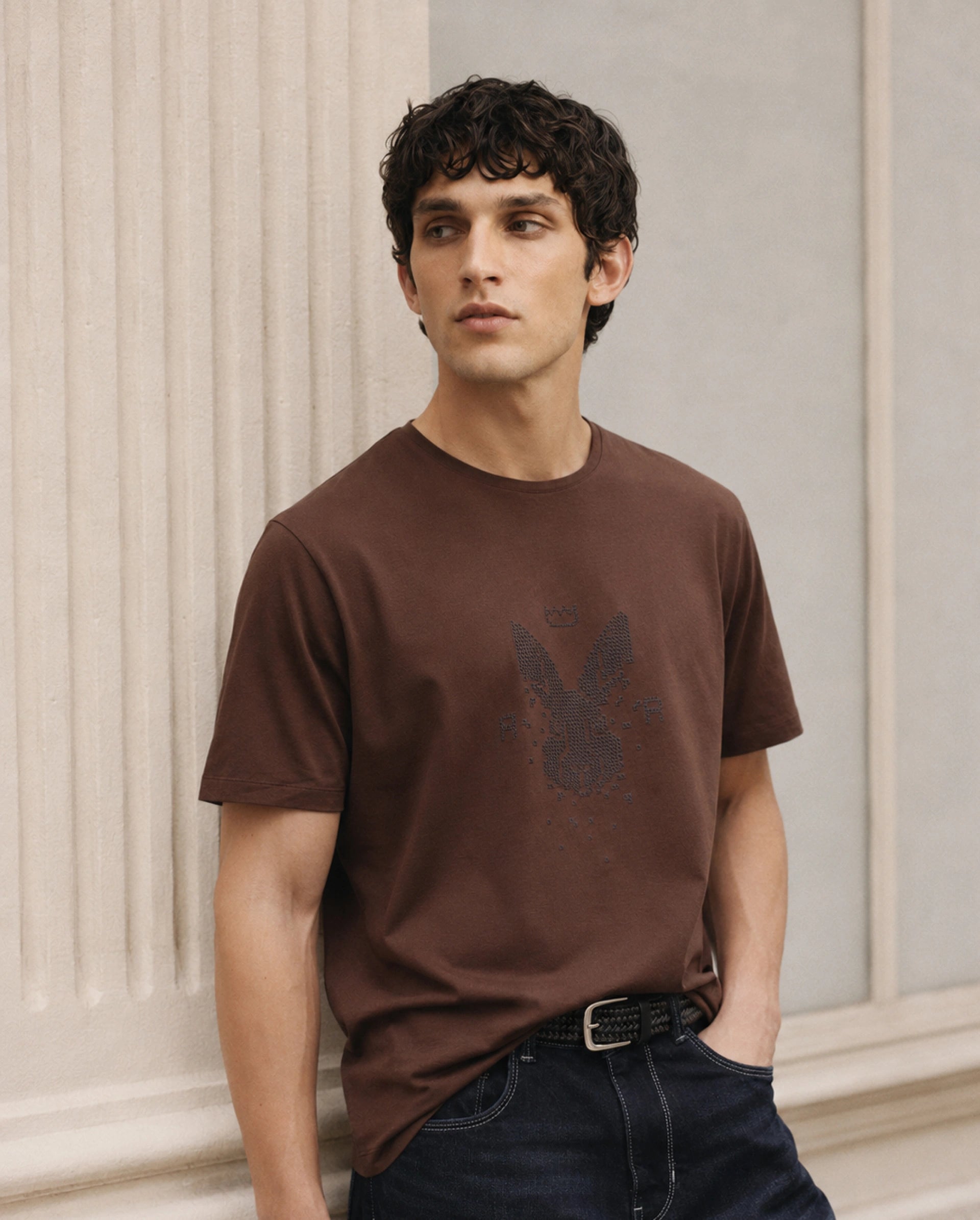 Rare Rabbit Men's Wamble Rust Cotton Blend Crew Neck Regular Graphic Print T-Shirt