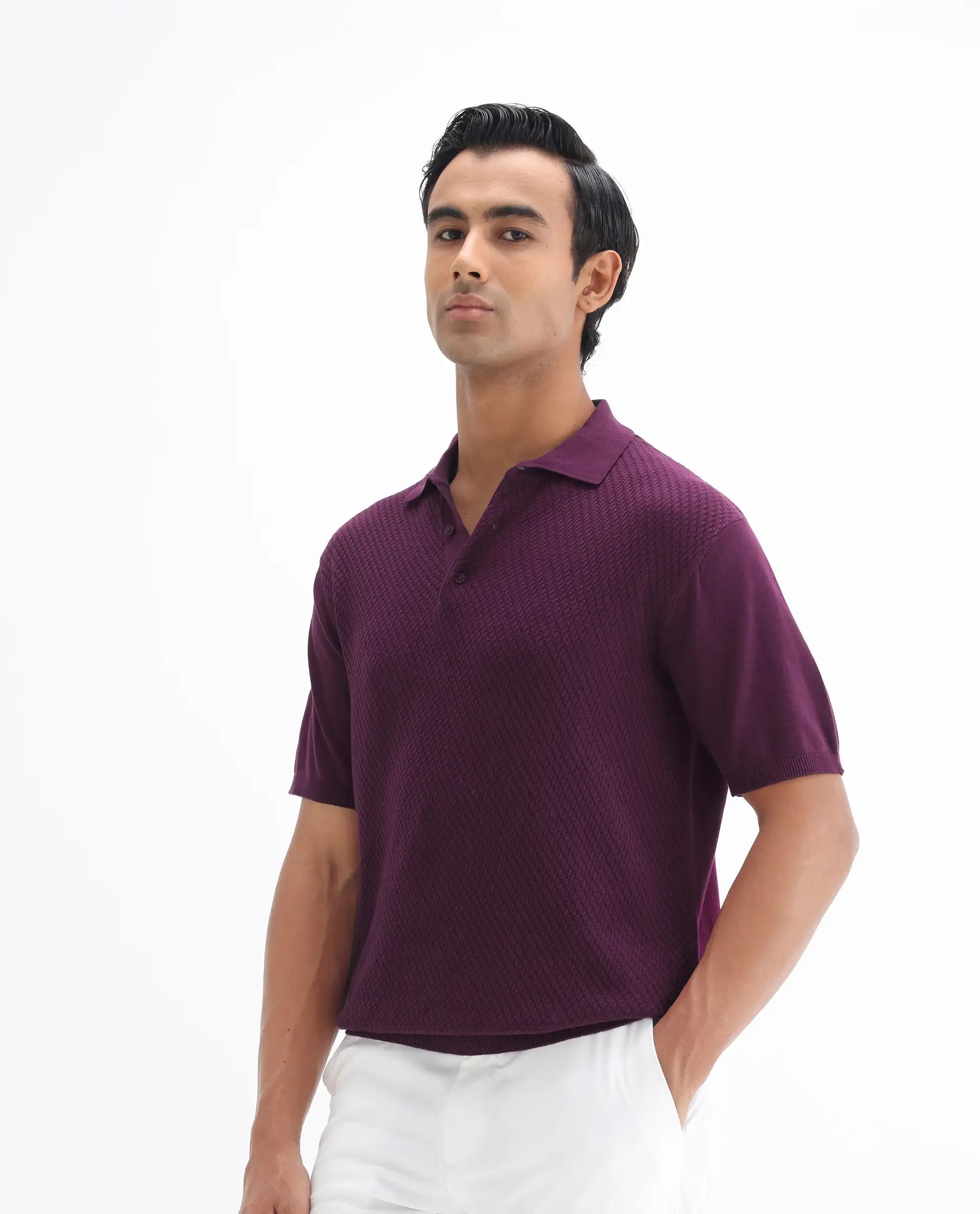 Rare Rabbit Men's Xas Dark Purple Cotton Textured Regular Fit Half Sleeve Polo