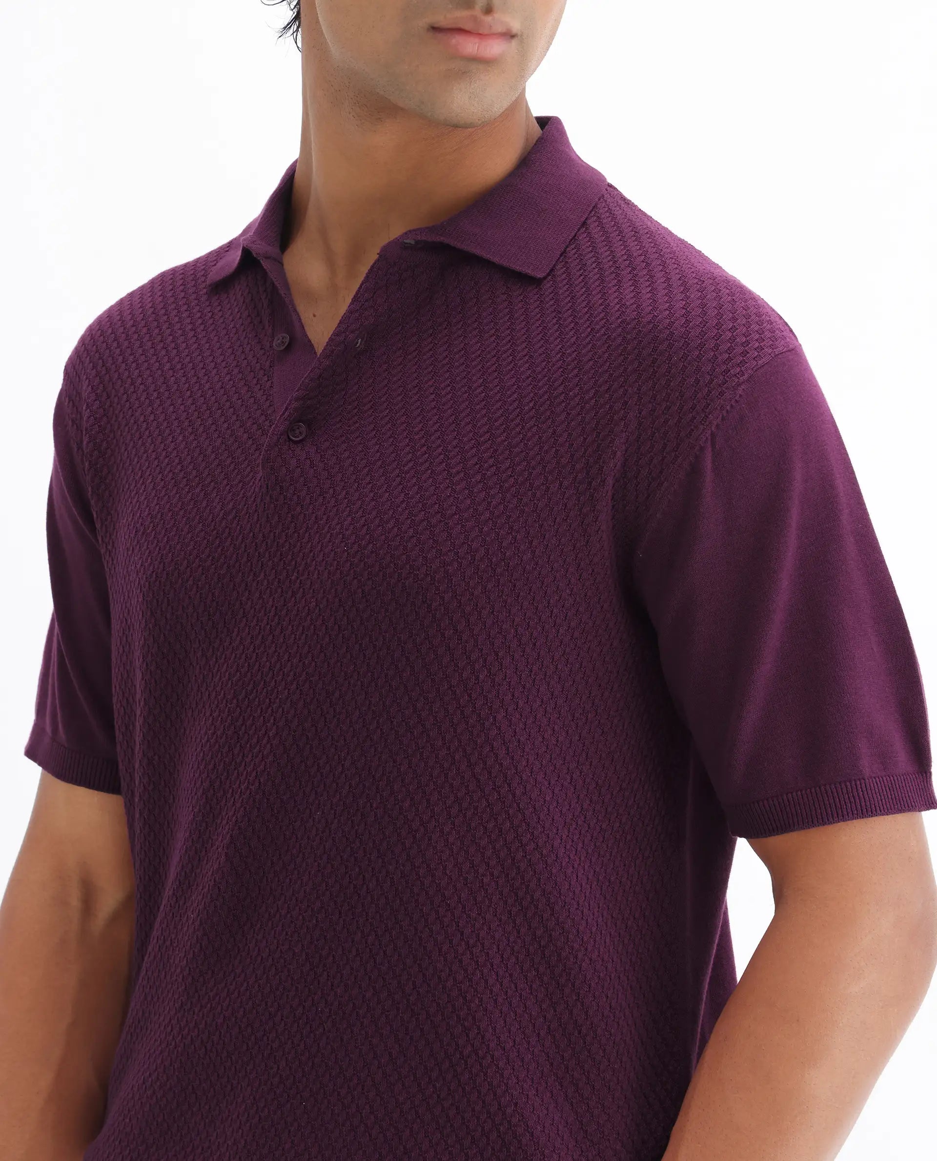 Rare Rabbit Men's Xas Dark Purple Cotton Textured Regular Fit Half Sleeve Polo