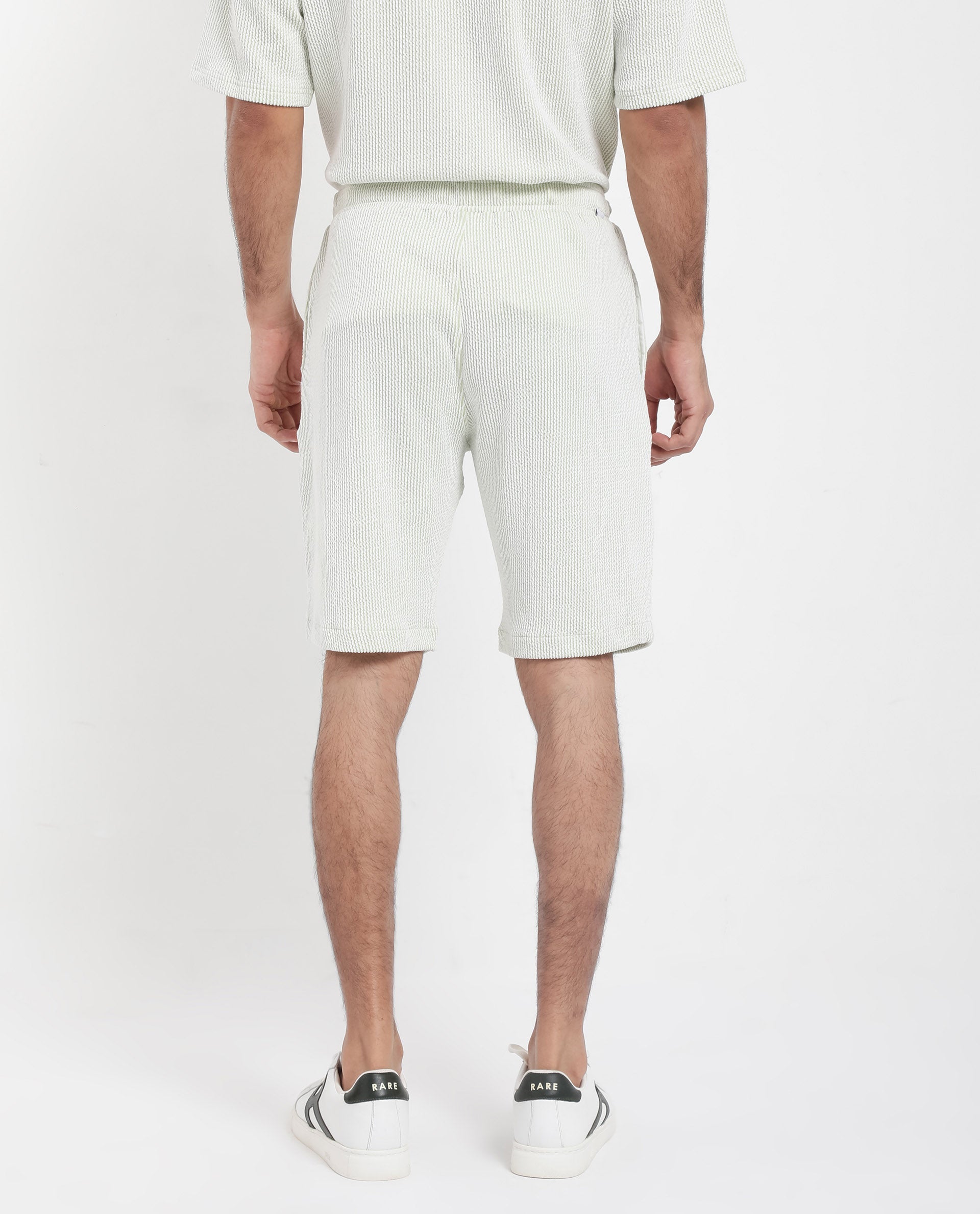 Rare Rabbit Men's Zavet-B Light Green Cotton Polyester Fabric Knee Length Regular Fit Self Stripe Textured Shorts