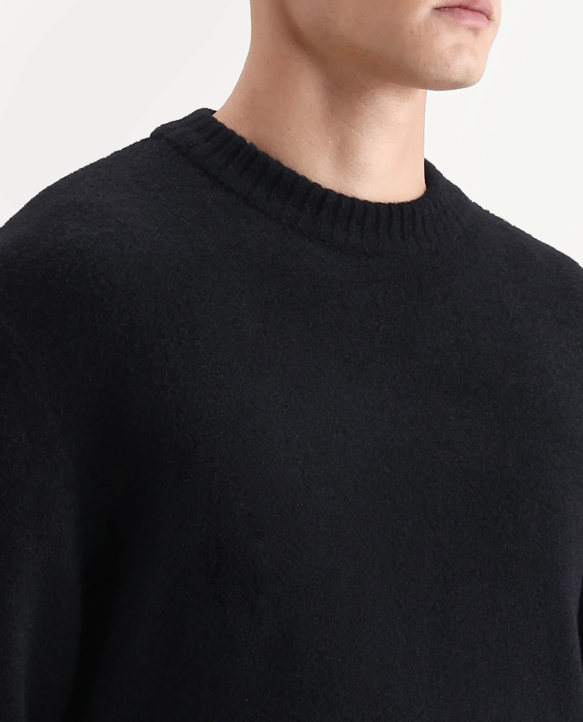 Rare Rabbit Men's Zeo-1 Black Nylon Plain Regular Fit Full Sleeve Crew Neck Sweater