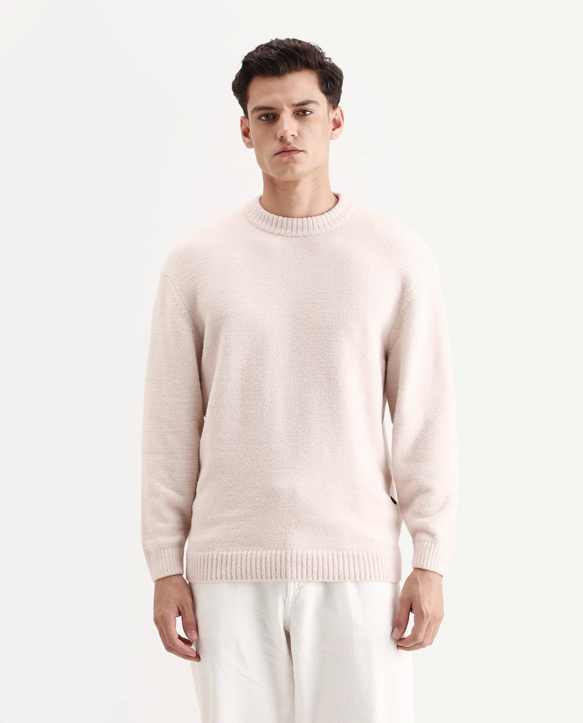 Rare Rabbit Men's Zeo-1 Beige Nylon Plain Regular Fit Full Sleeve Crew Neck Sweater