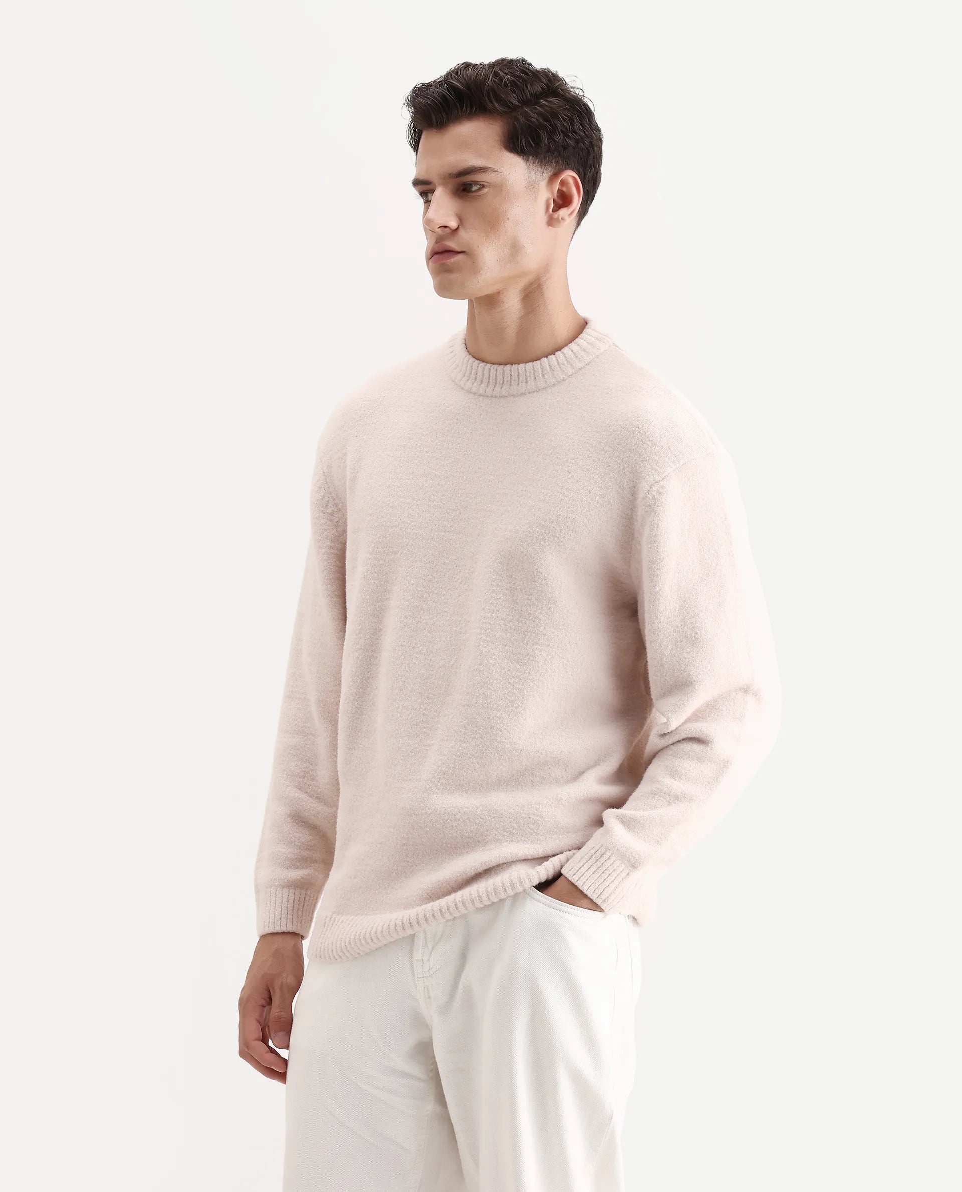 Rare Rabbit Men's Zeo-1 Beige Nylon Plain Regular Fit Full Sleeve Crew Neck Sweater