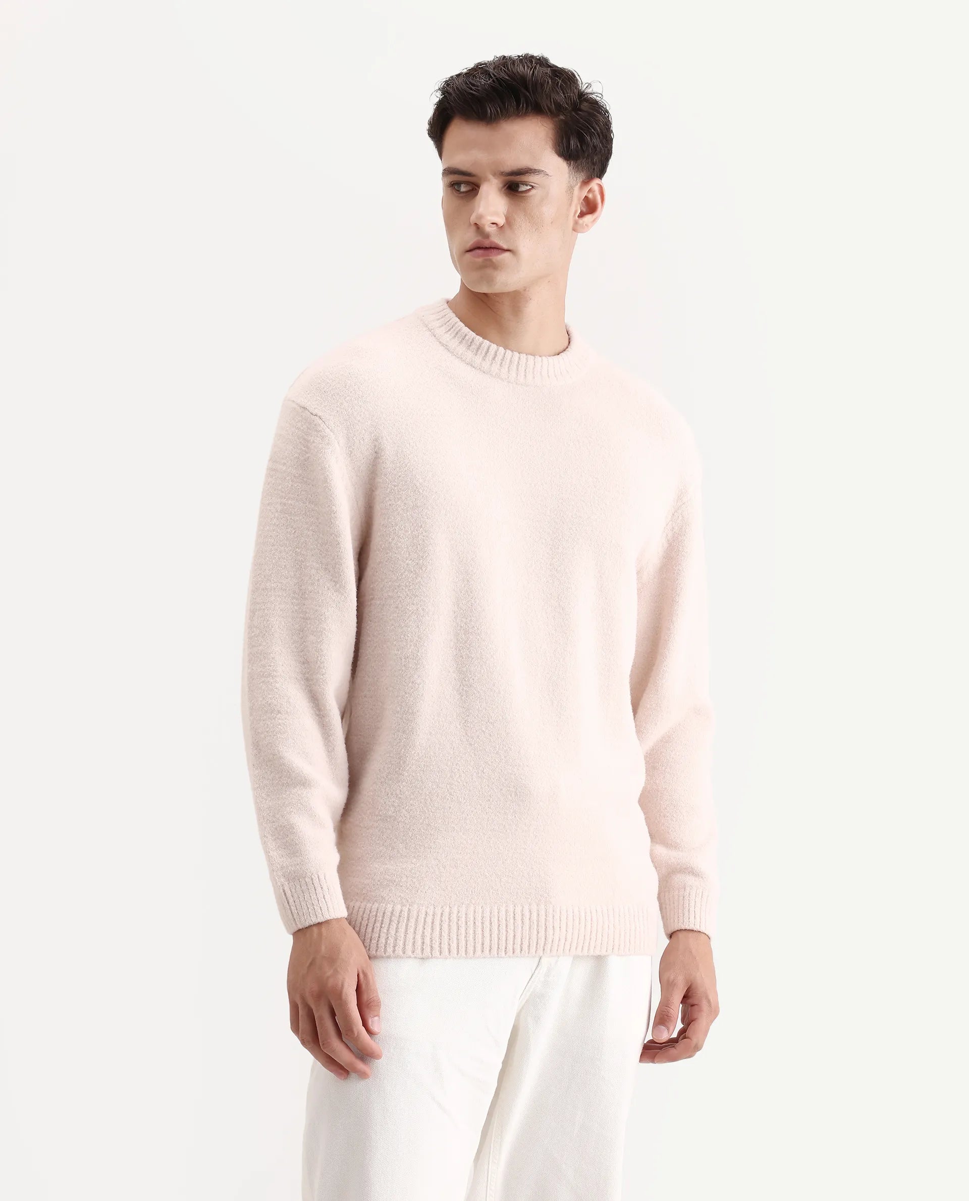 Rare Rabbit Men's Zeo-1 Beige Nylon Plain Regular Fit Full Sleeve Crew Neck Sweater