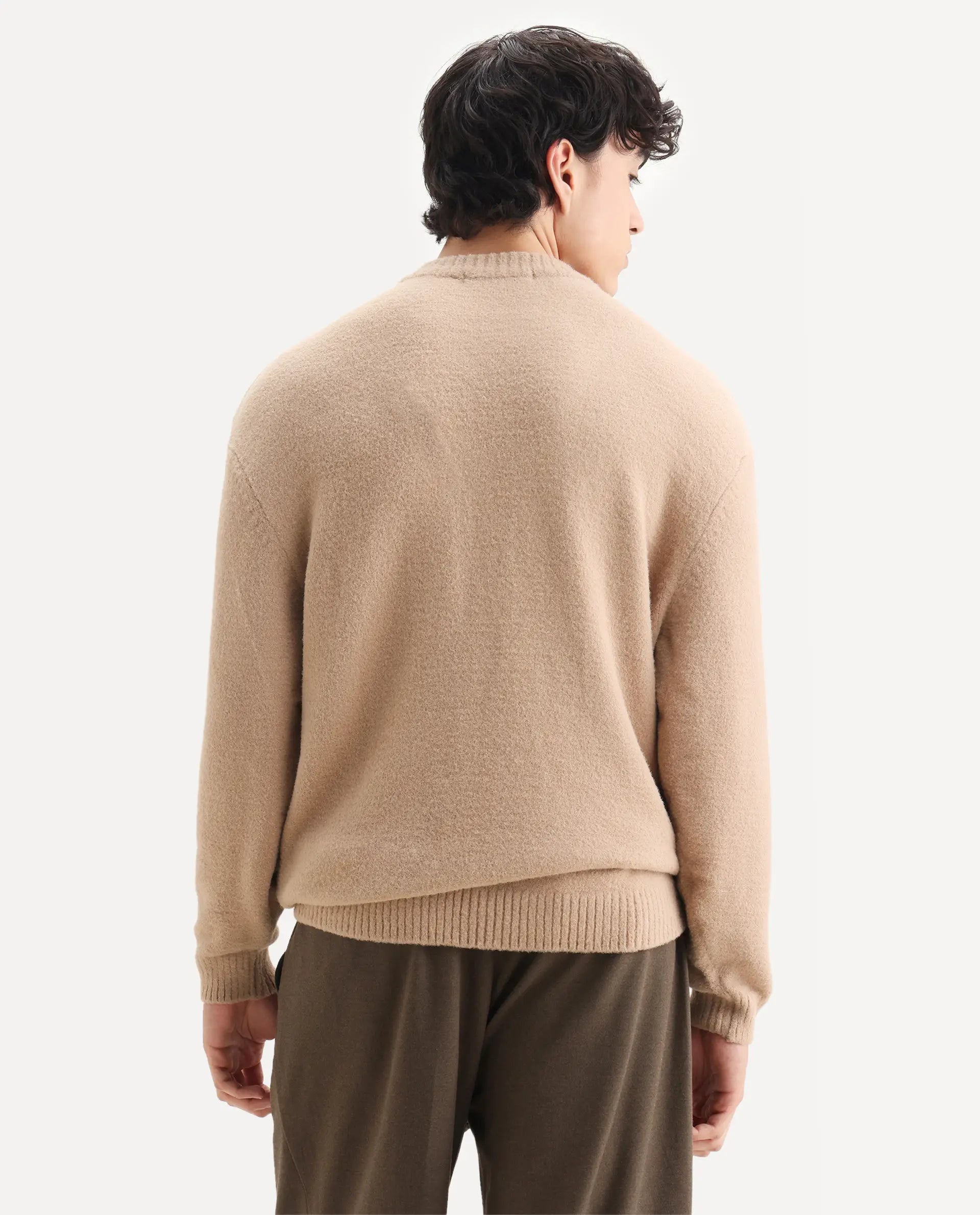 Rare Rabbit Men's Zeo-1 Dark Beige Nylon Plain Regular Fit Full Sleeve Crew Neck Sweater