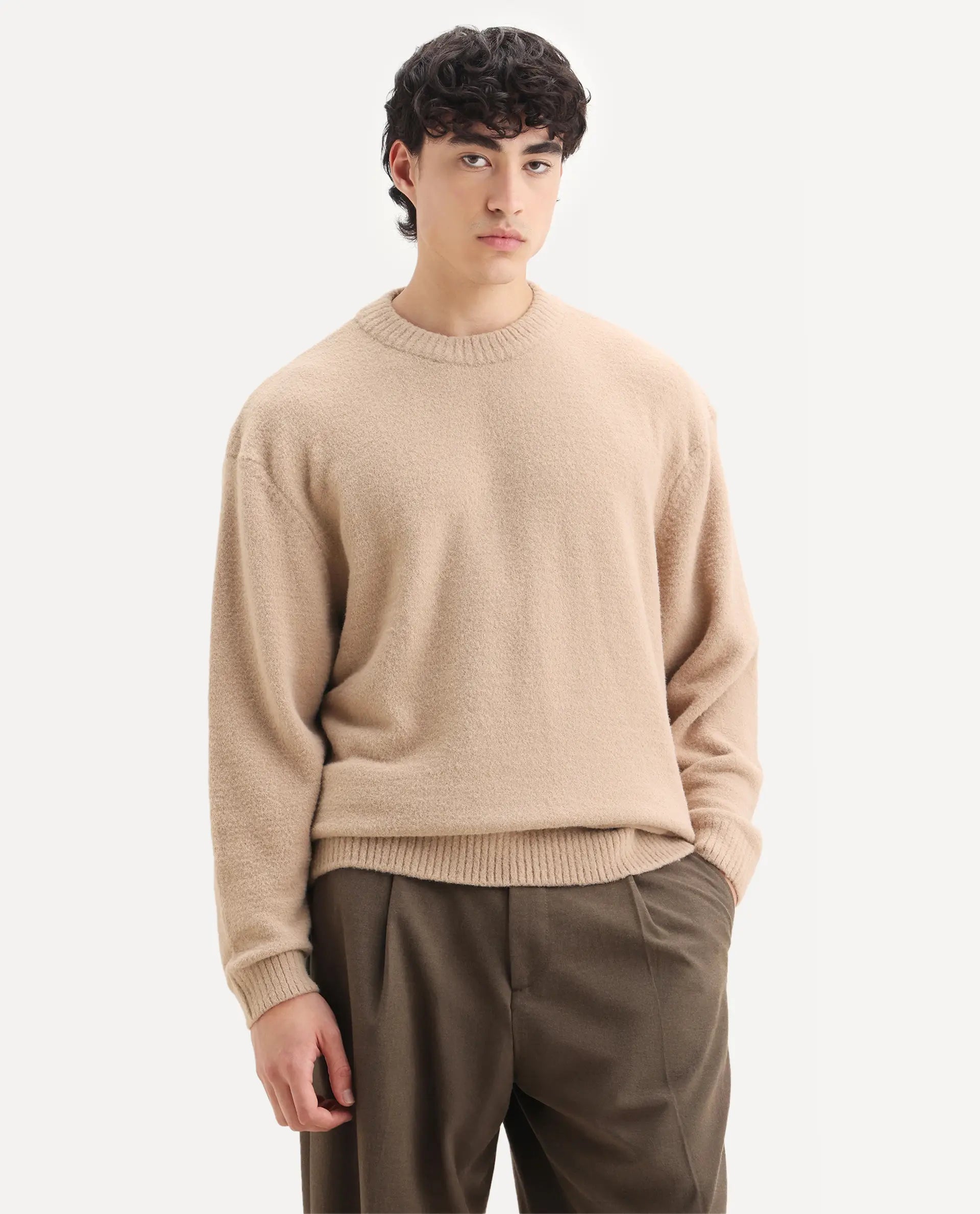 Rare Rabbit Men's Zeo-1 Dark Beige Nylon Plain Regular Fit Full Sleeve Crew Neck Sweater