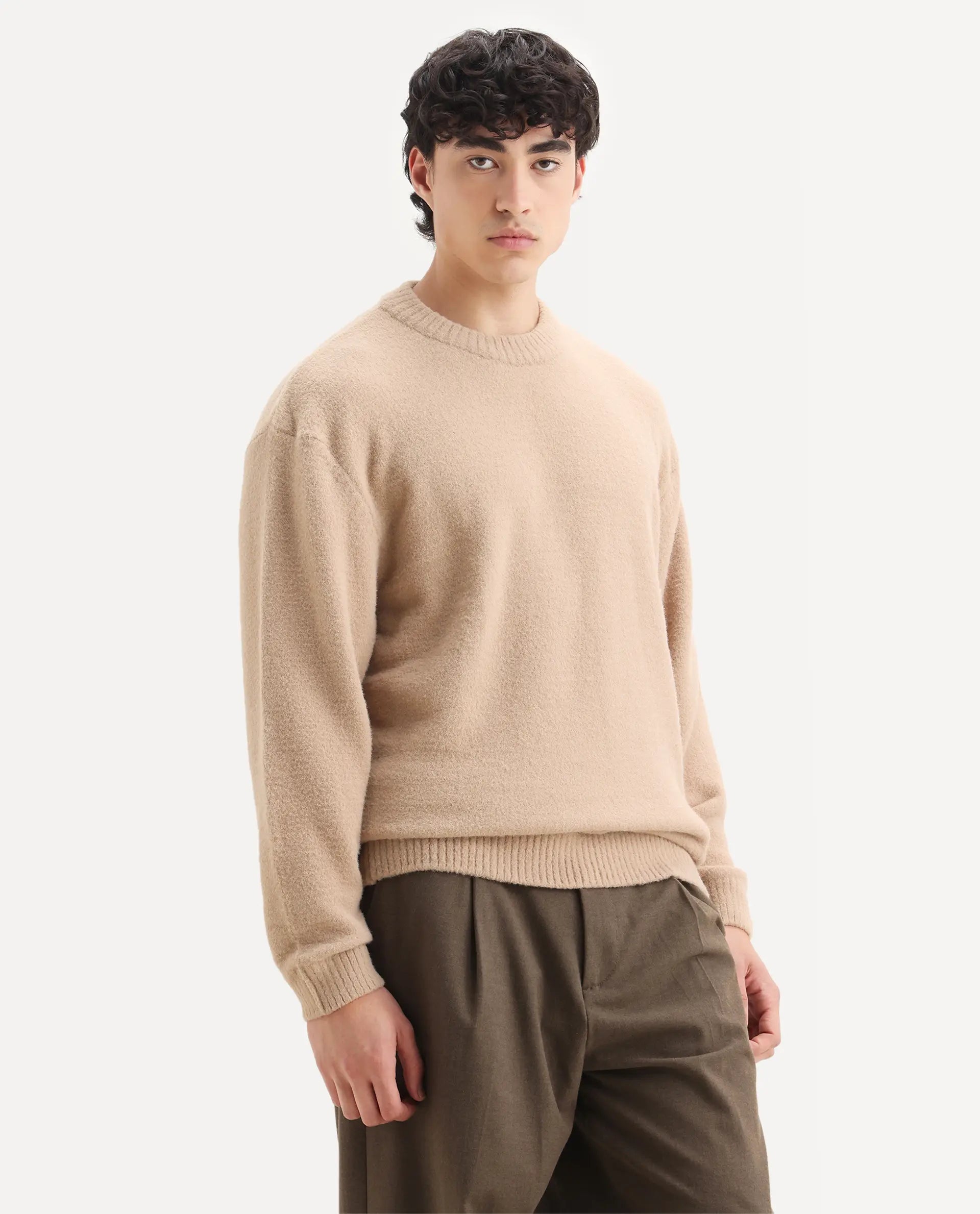 Rare Rabbit Men's Zeo-1 Dark Beige Nylon Plain Regular Fit Full Sleeve Crew Neck Sweater