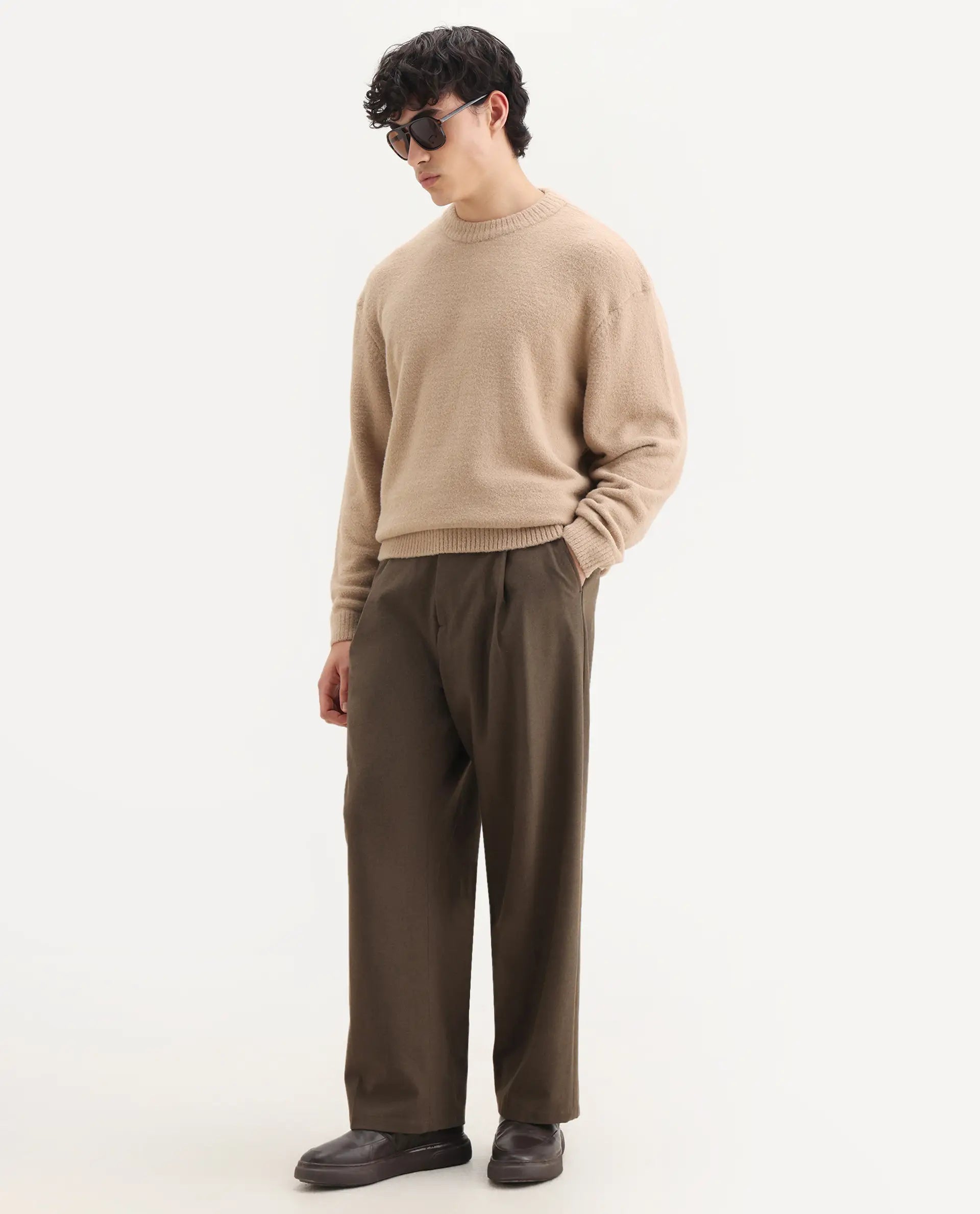 Rare Rabbit Men's Zeo-1 Dark Beige Nylon Plain Regular Fit Full Sleeve Crew Neck Sweater