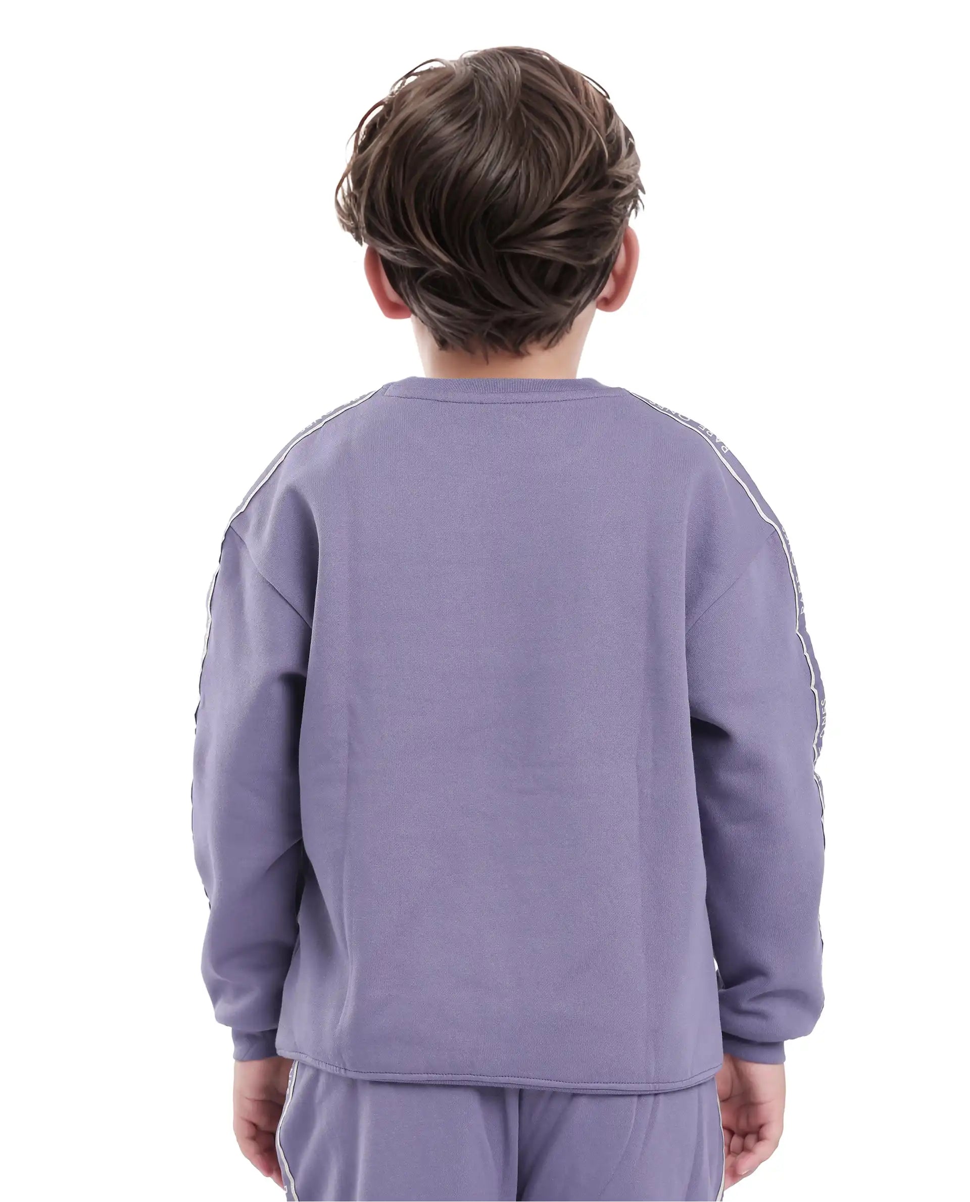 Rare Ones Kids Zet Light Purple Cotton Poly Full Sleeve Puff Print Sweatshirt