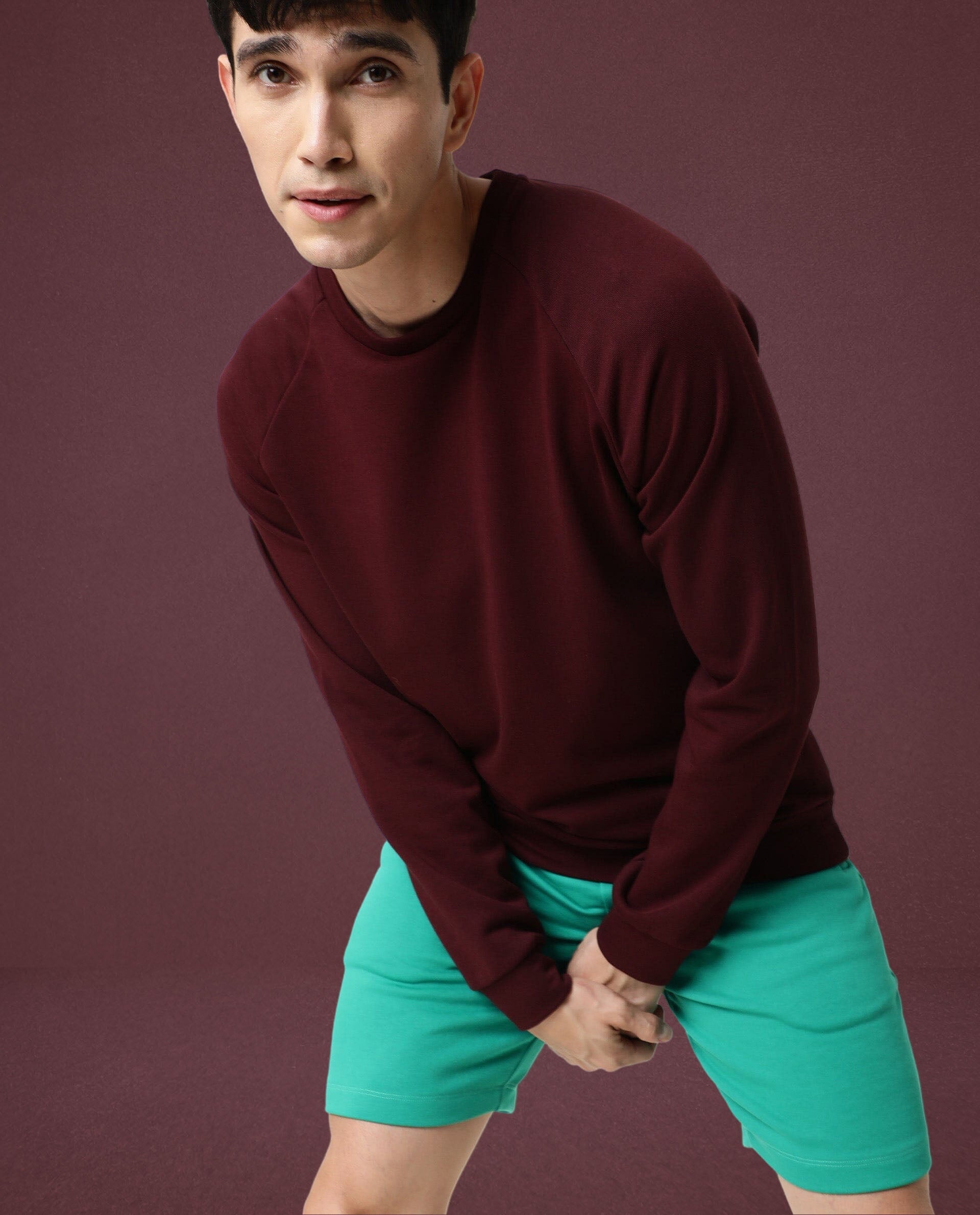 Rare Rabbit Articale Men's Arum Burnt Prune Cotton Fabric Full Sleeves Solid Sweatshirt