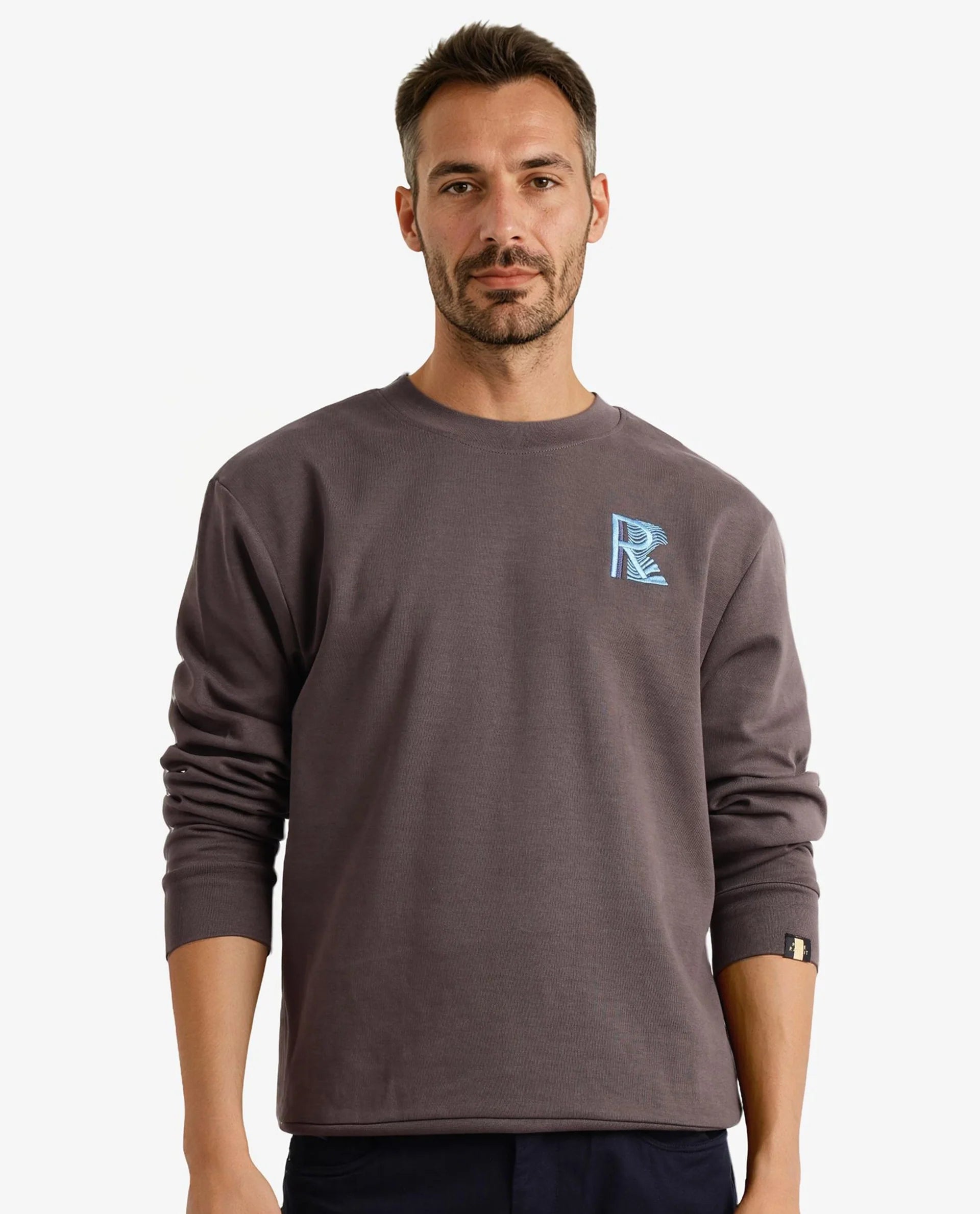 Rare Rabbit Men Bay Dark Grey Cotton Full Sleeve Crew Neck Embroidered Logo Sweatshirt