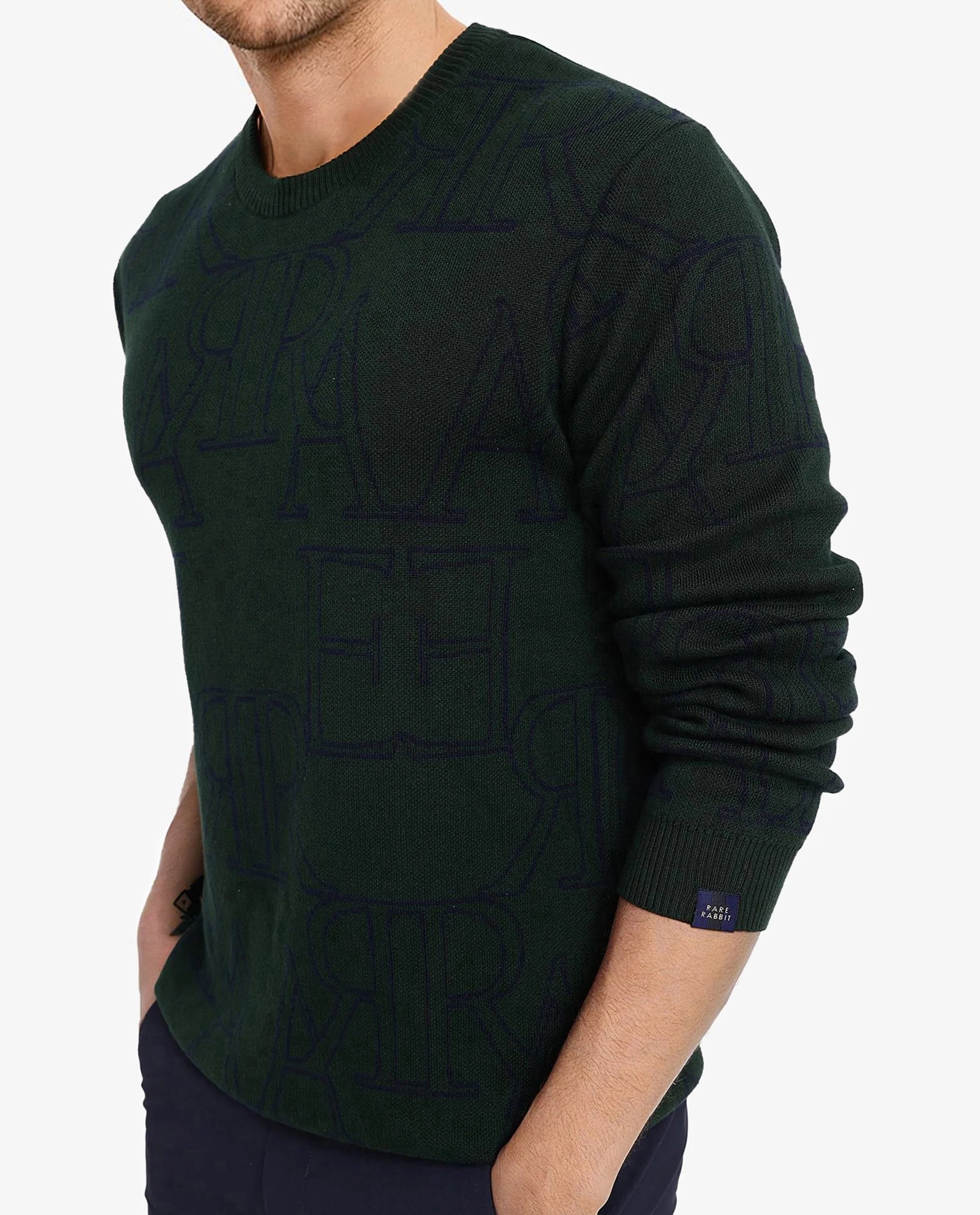 Rare Rabbit Men's Carrit Green Cotton Fabric Full Sleeve Crew Neck Regular Fit Monogram Jacquard Textured Sweater
