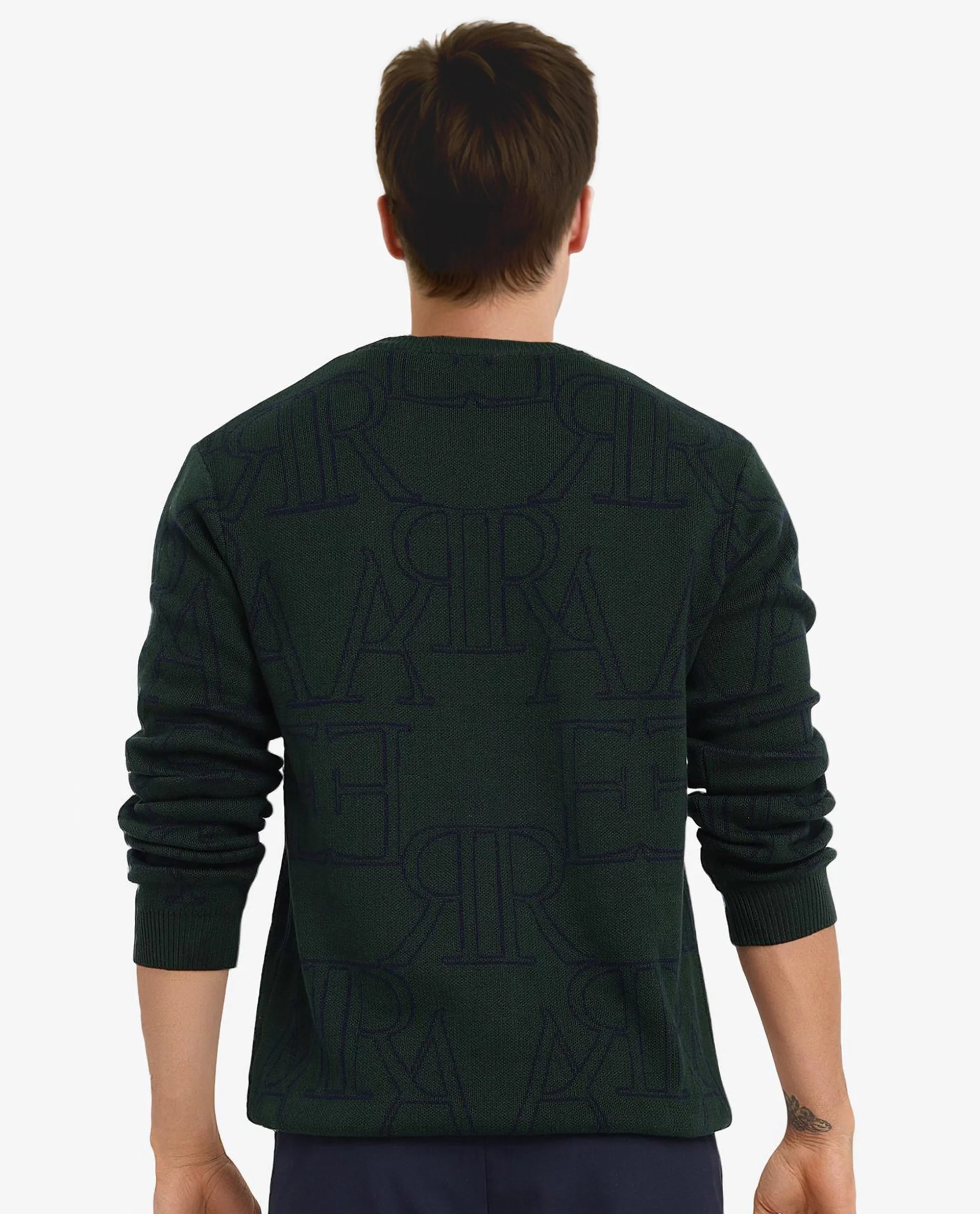 Rare Rabbit Men's Carrit Green Cotton Fabric Full Sleeve Crew Neck Regular Fit Monogram Jacquard Textured Sweater