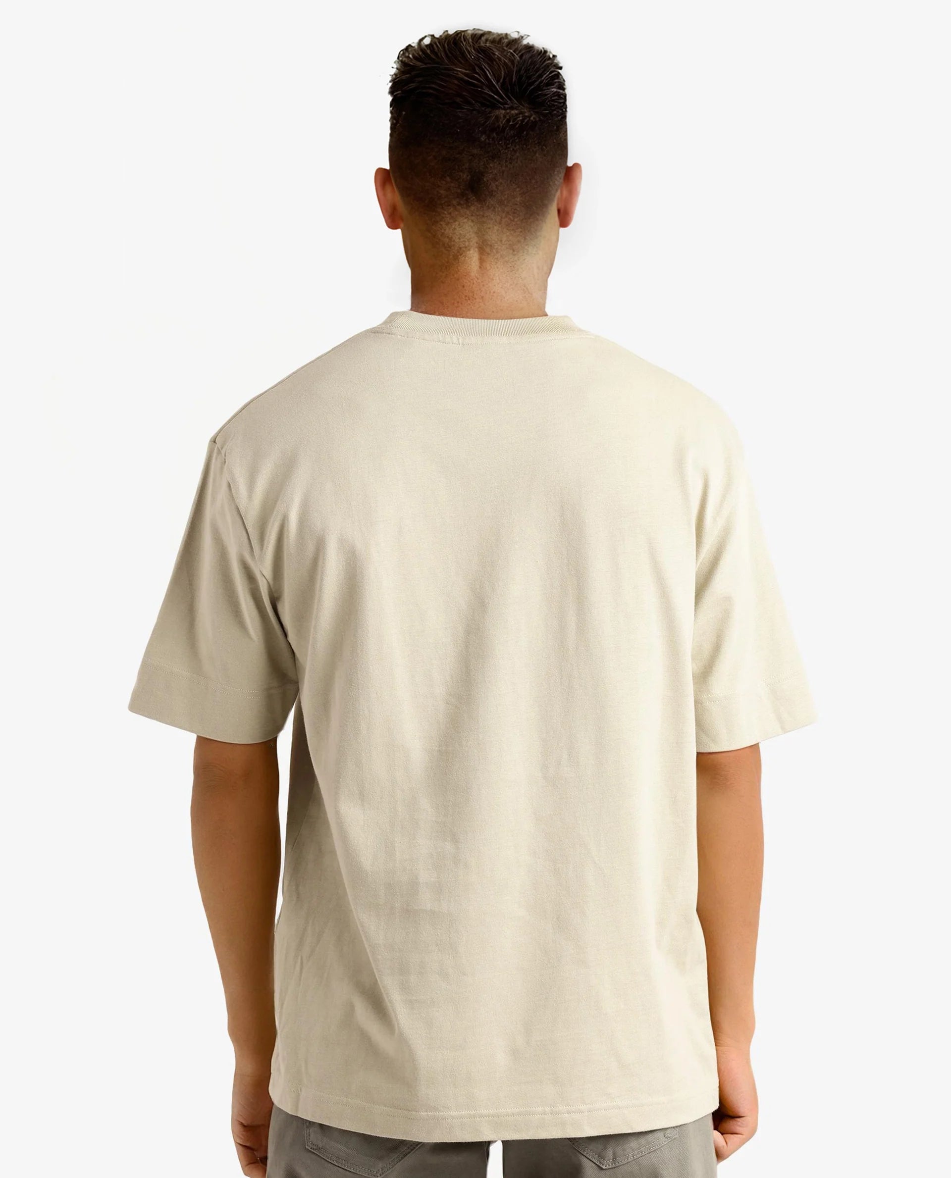 Rare Rabbit Men Casse Pastel Green Short Sleeve Crew Neck Oversized Fit Printed T-Shirt