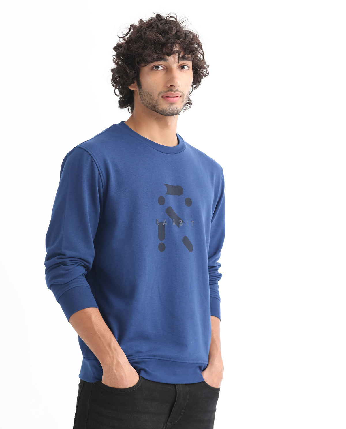 Rare Rabbit Men's Dunsto Blue Cotton Polyester Fabric Full Sleeves Graphic Print Knitted Sweatshirt