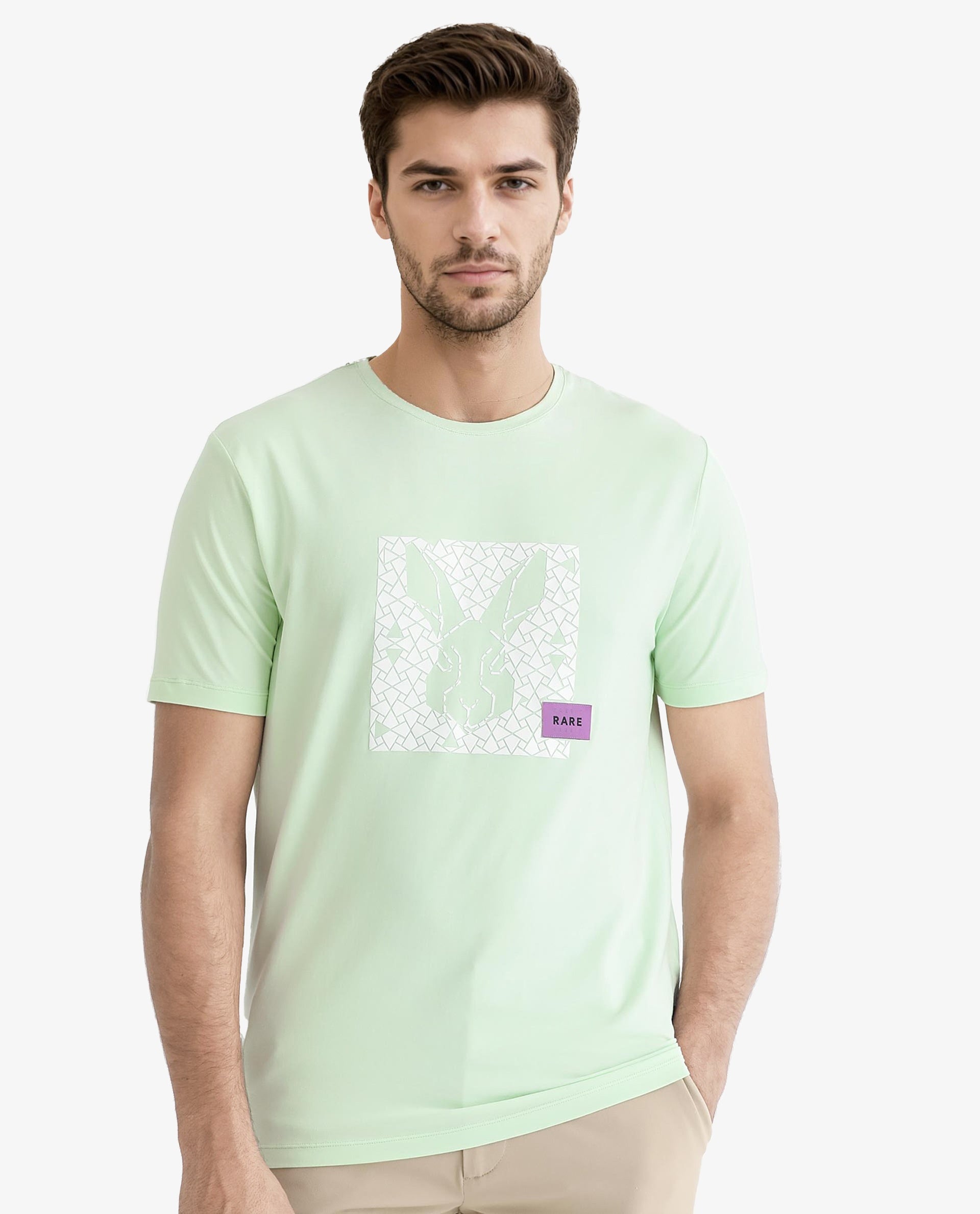 Rare Rabbit Men's Herald Light Green Crew Neck HD Print Logo and Branding Half Sleeves Regular Fit T-Shirt