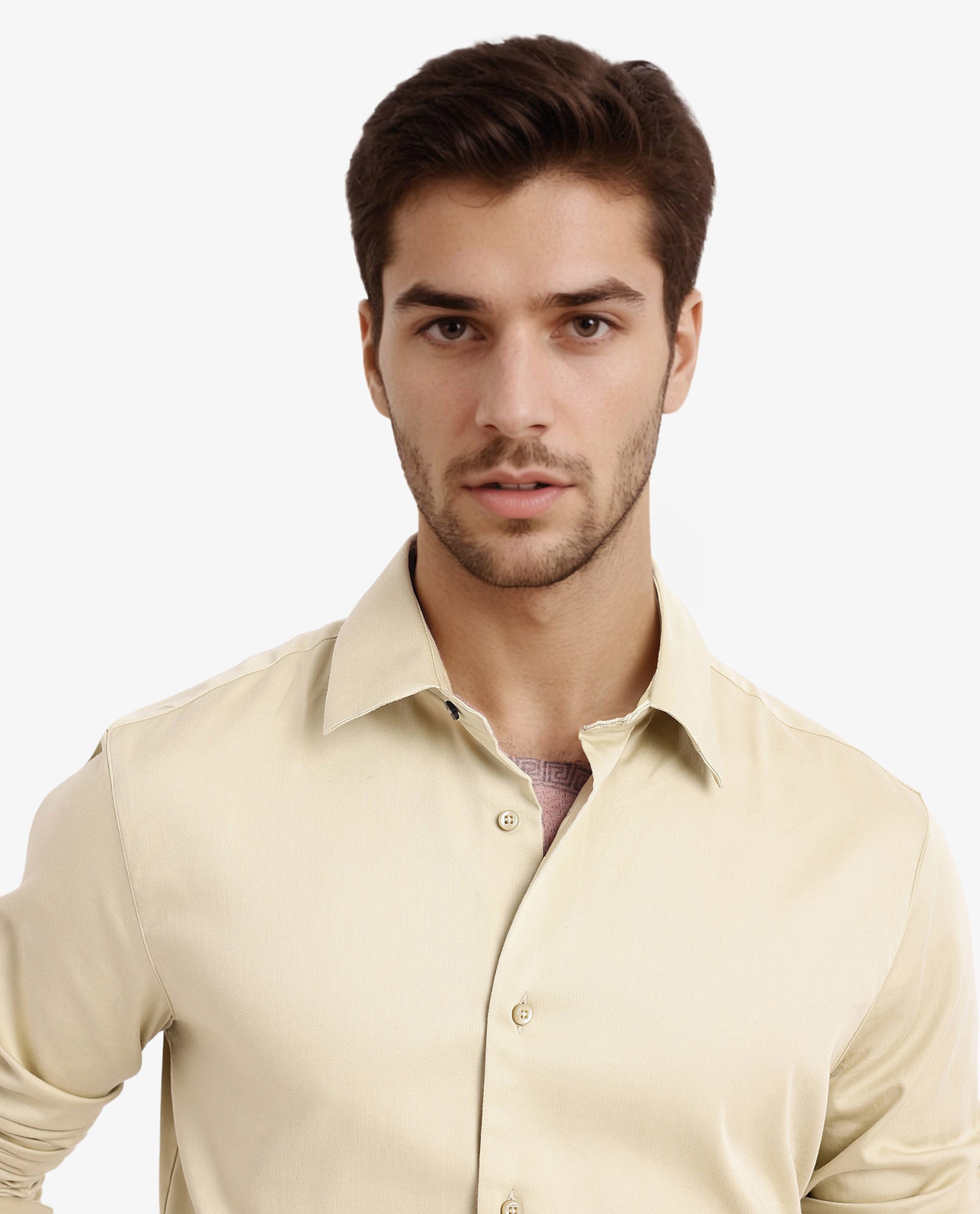 Rare Rabbit Men's Holla Pastel Green Full Sleeves Regular Fit Satin Stretch Cotton Plain Shirt