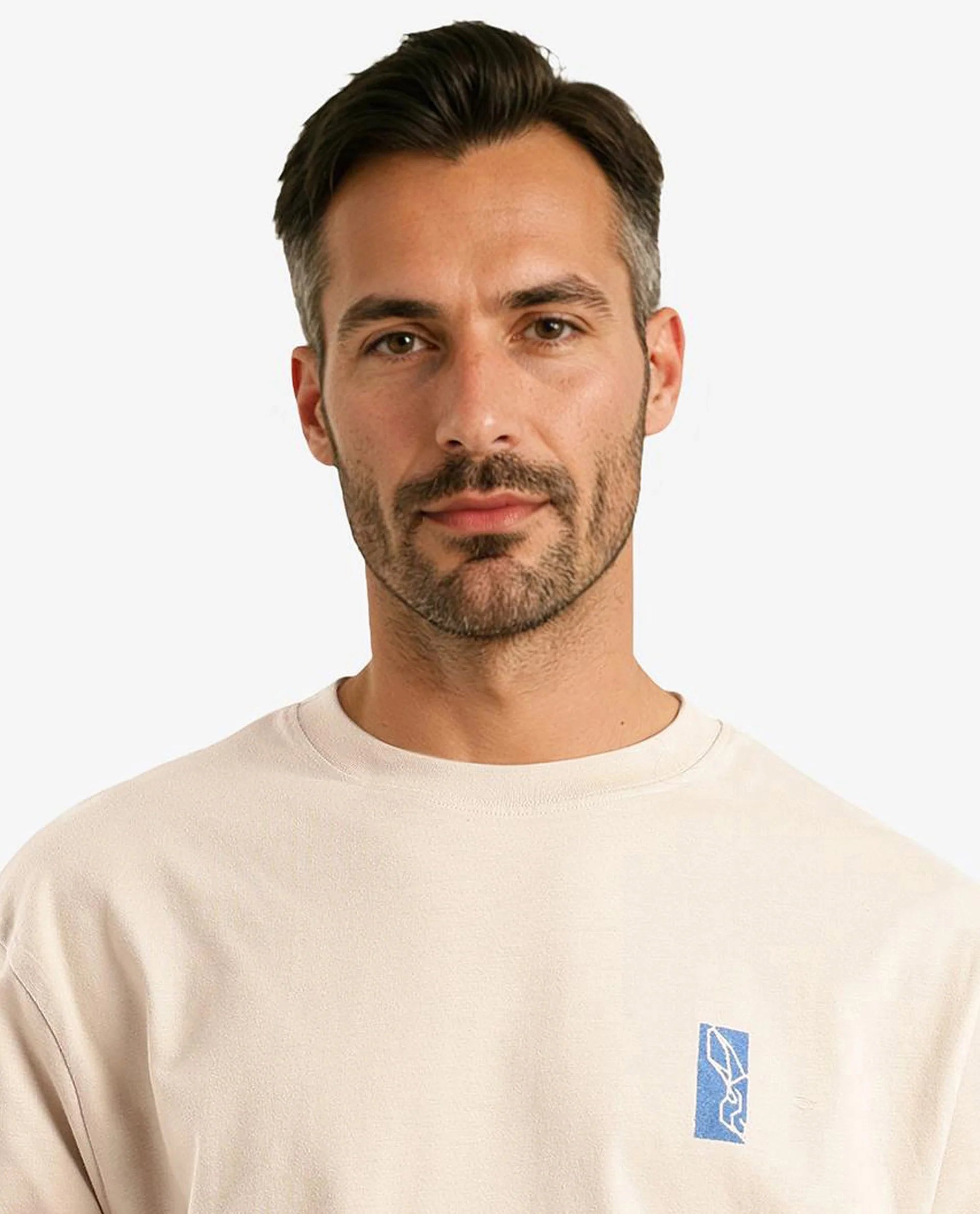 Rare Rabbit Men Hord Beige Short Sleeve Crew Neck Boxy Fit Printed T-Shirt