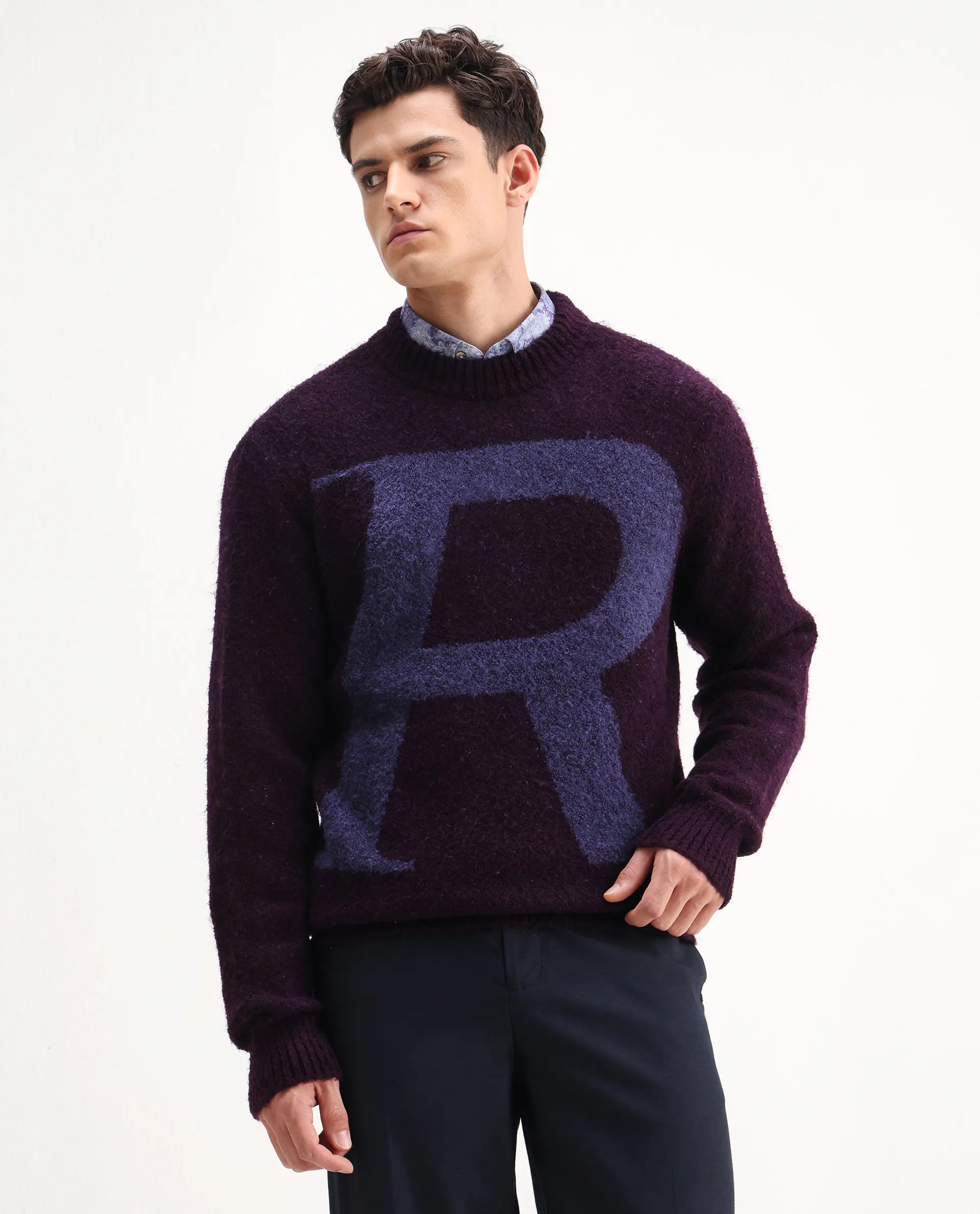 Rare Rabbit Men's Lang Purple Nylon Printed Regular Fit Full Sleeve Crew Neck Sweater