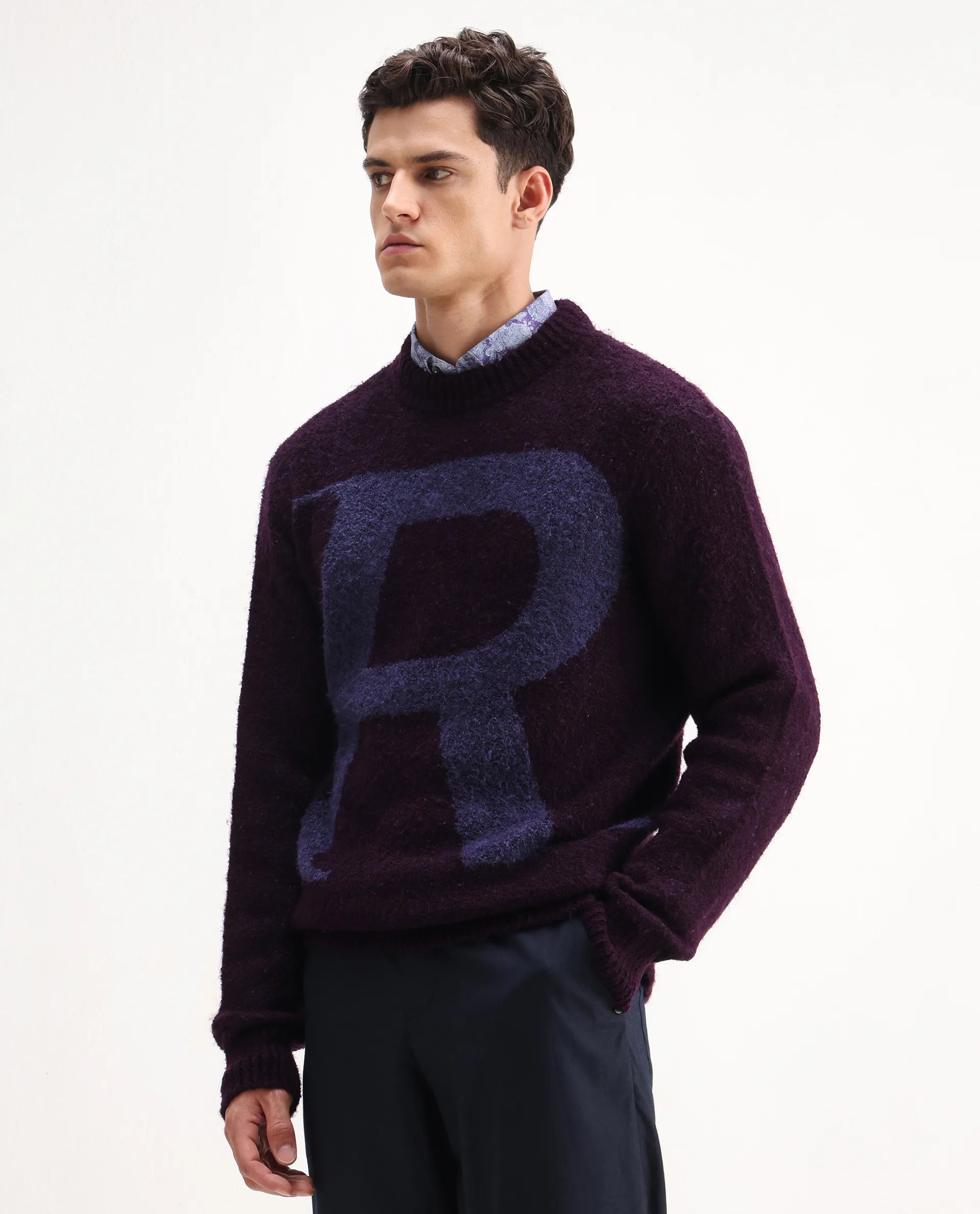 Rare Rabbit Men's Lang Purple Nylon Printed Regular Fit Full Sleeve Crew Neck Sweater