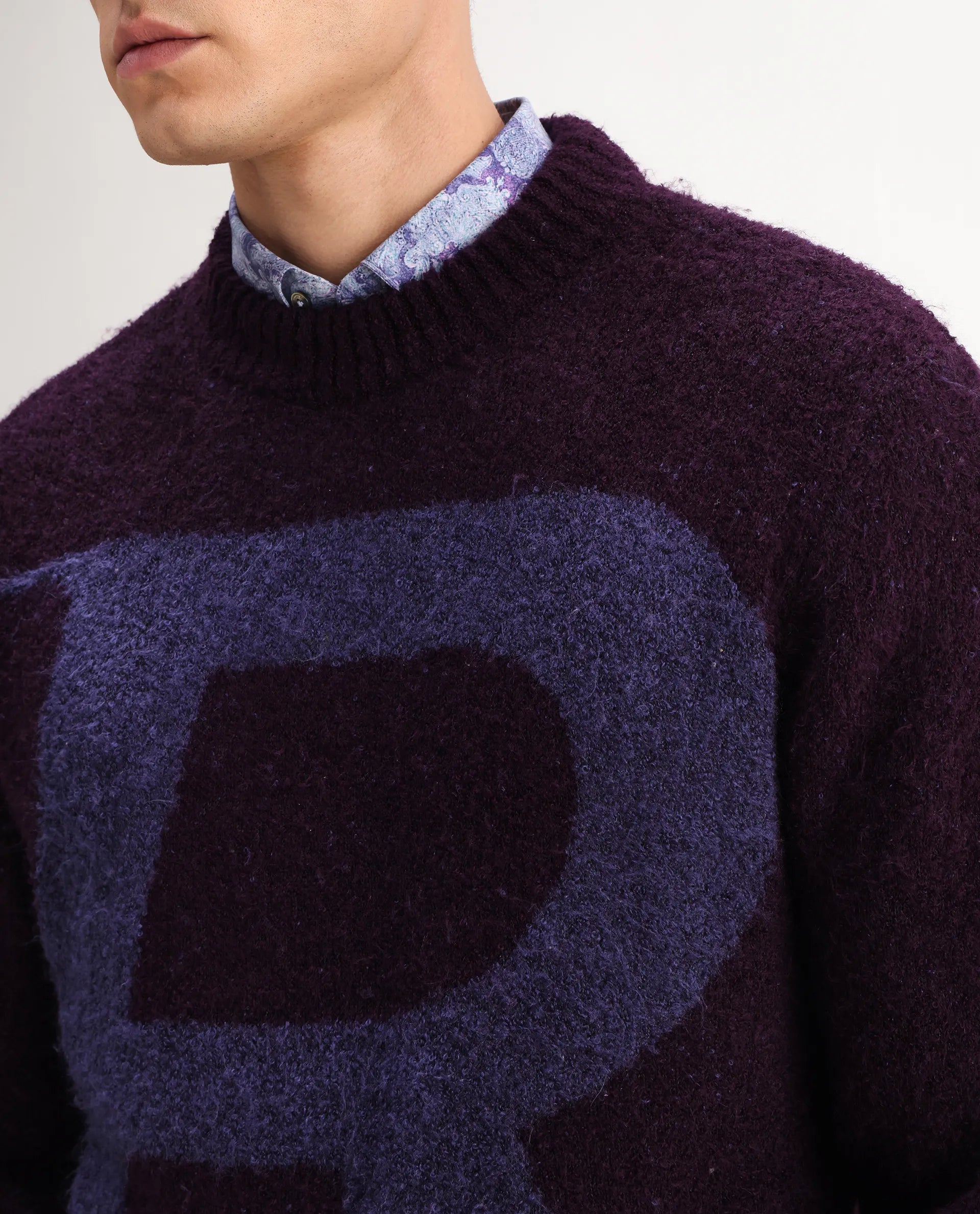 Rare Rabbit Men's Lang Purple Nylon Printed Regular Fit Full Sleeve Crew Neck Sweater