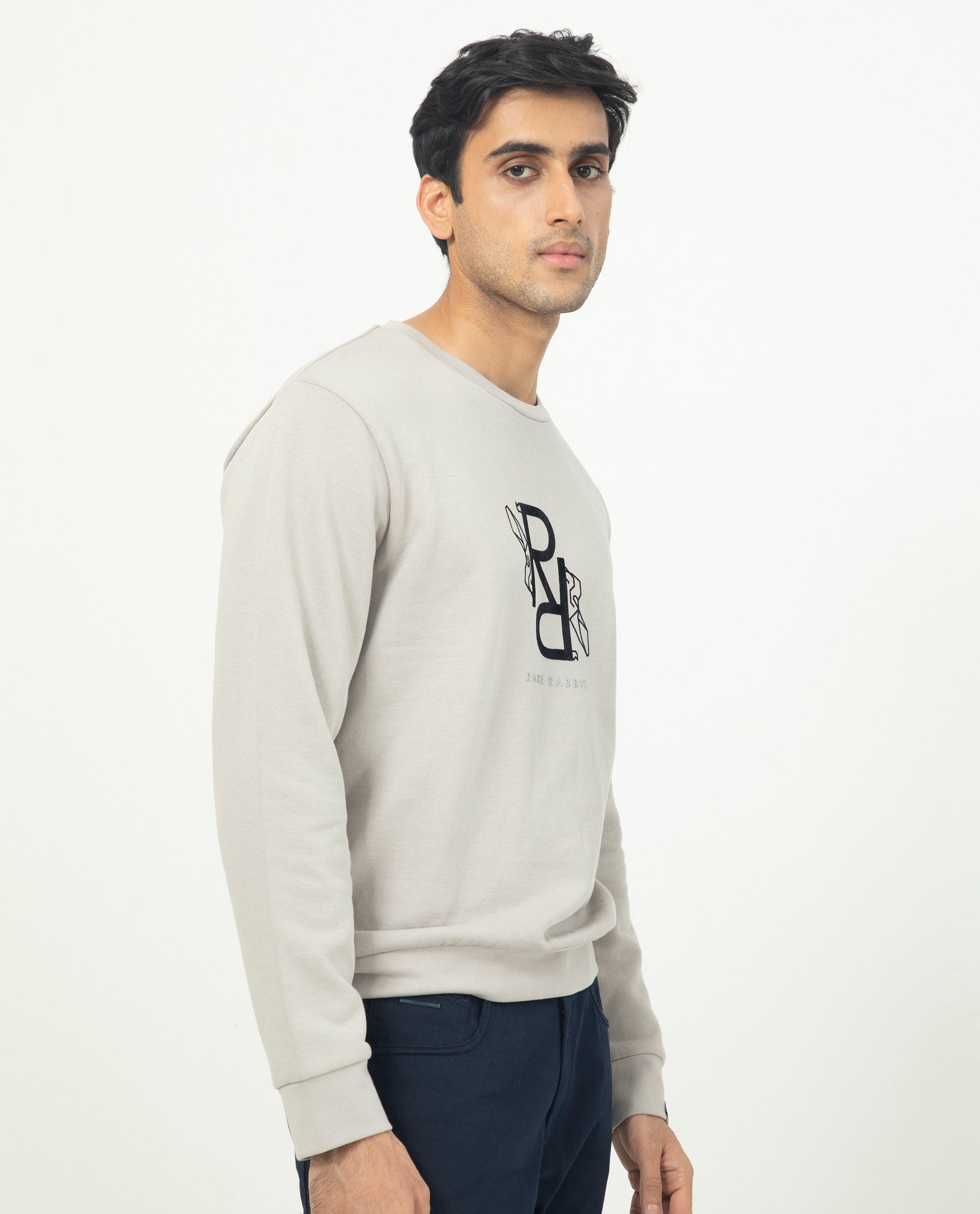Rare Rabbit Mens Lucien Grey Cotton Polyester Fabric Full Sleeves Graphic Printed Logo Knitted Sweatshirt