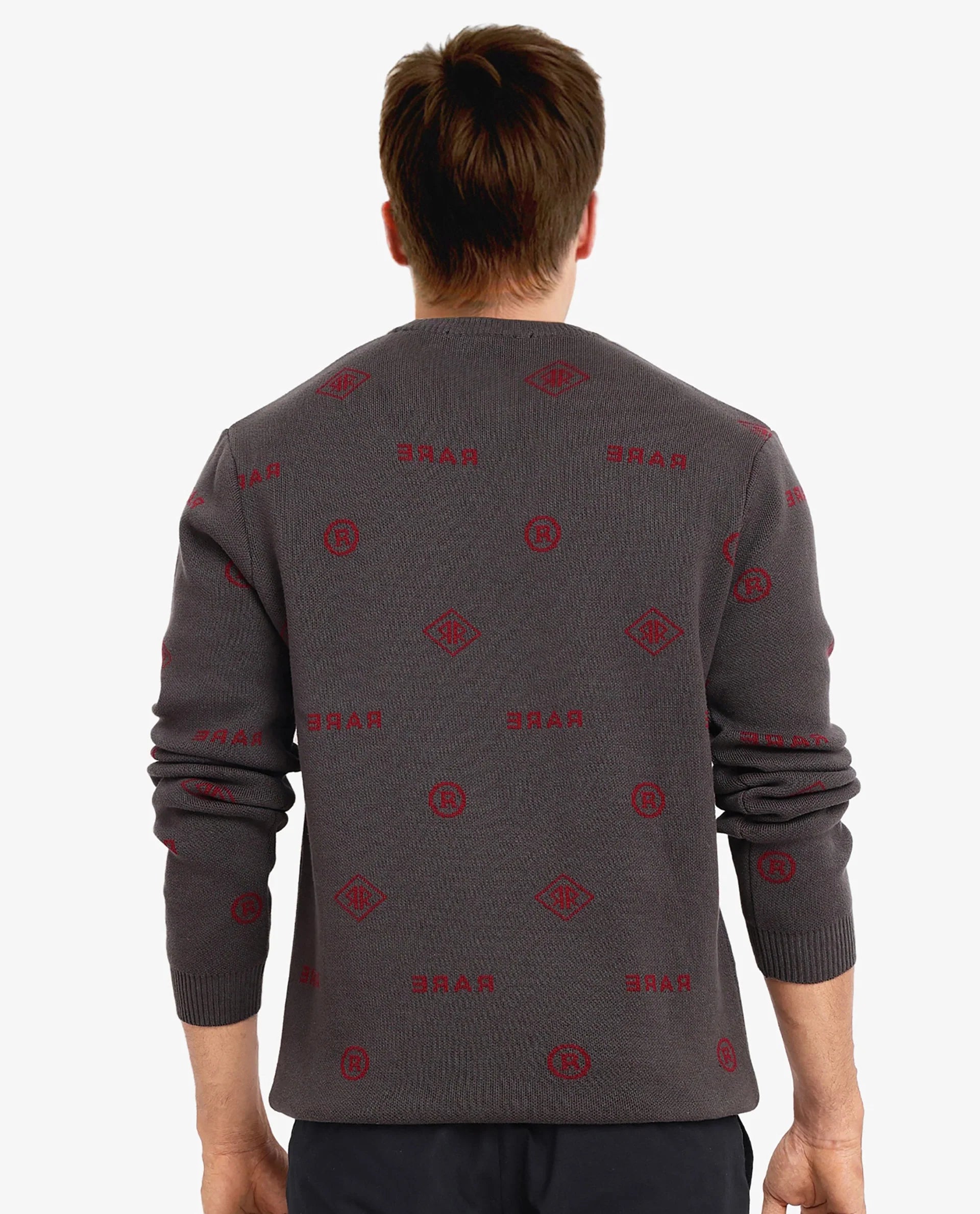 Rare Rabbit Men's Mario Dark Grey Cotton Fabric Cotton Fabric Full Sleeve Crew Neck Regular Fit Monogram Back Print Jacquard Textured Sweater