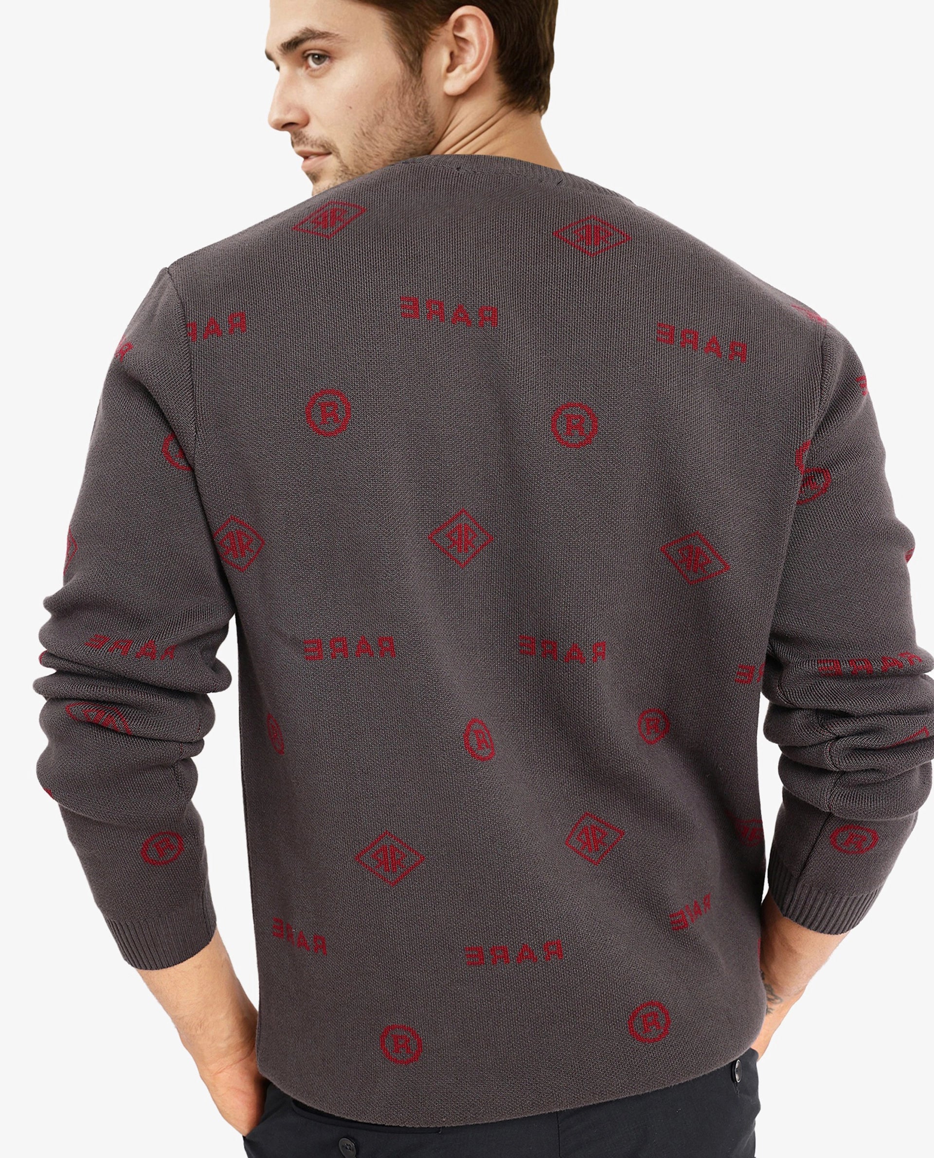 Rare Rabbit Men's Mario Dark Grey Cotton Fabric Cotton Fabric Full Sleeve Crew Neck Regular Fit Monogram Back Print Jacquard Textured Sweater