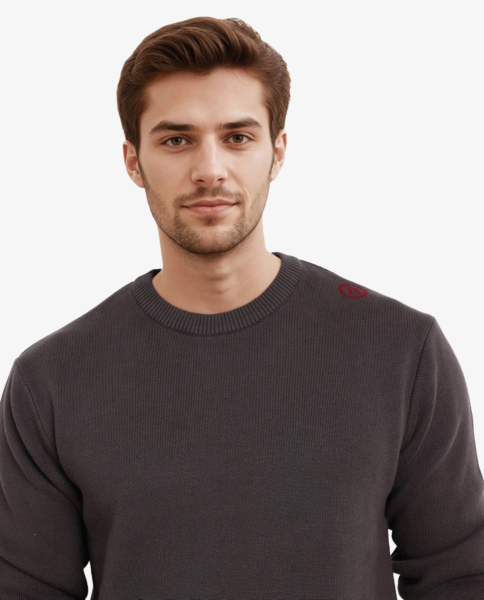 Rare Rabbit Men's Mario Dark Grey Cotton Fabric Cotton Fabric Full Sleeve Crew Neck Regular Fit Monogram Back Print Jacquard Textured Sweater