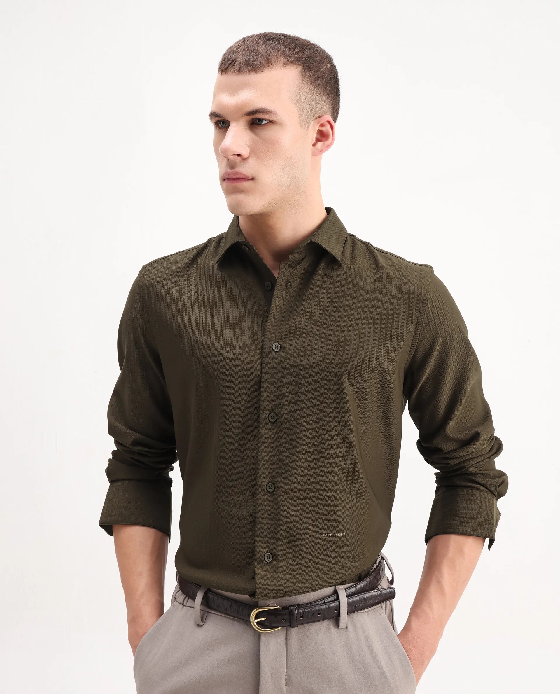 Rare Rabbit Men's Mero-25 Dark Olive Viscose Striped Print Regular Fit Full Sleeve Collared Shirt