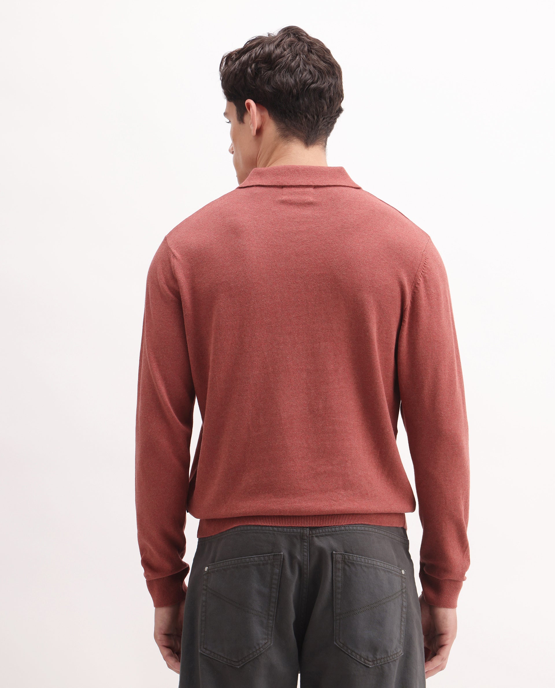 Rare Rabbit Men's Pyer Red Flat Knit Plain Regular Fit Full Sleeve Polo