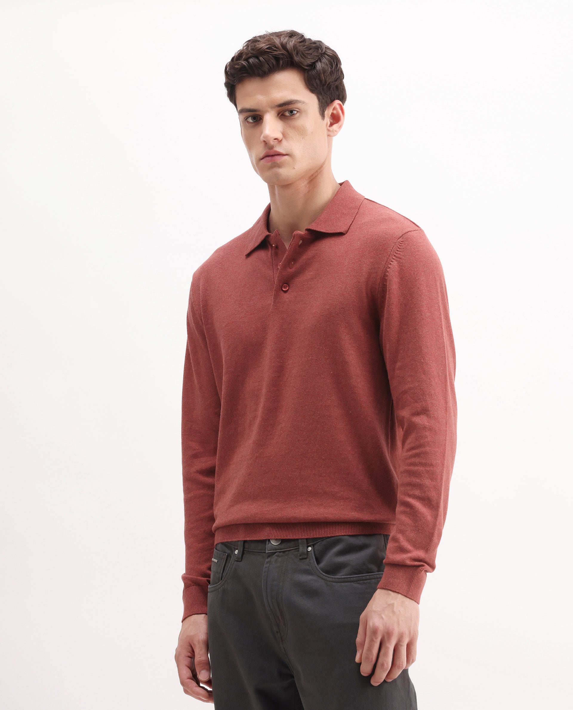 Rare Rabbit Men's Pyer Red Flat Knit Plain Regular Fit Full Sleeve Polo