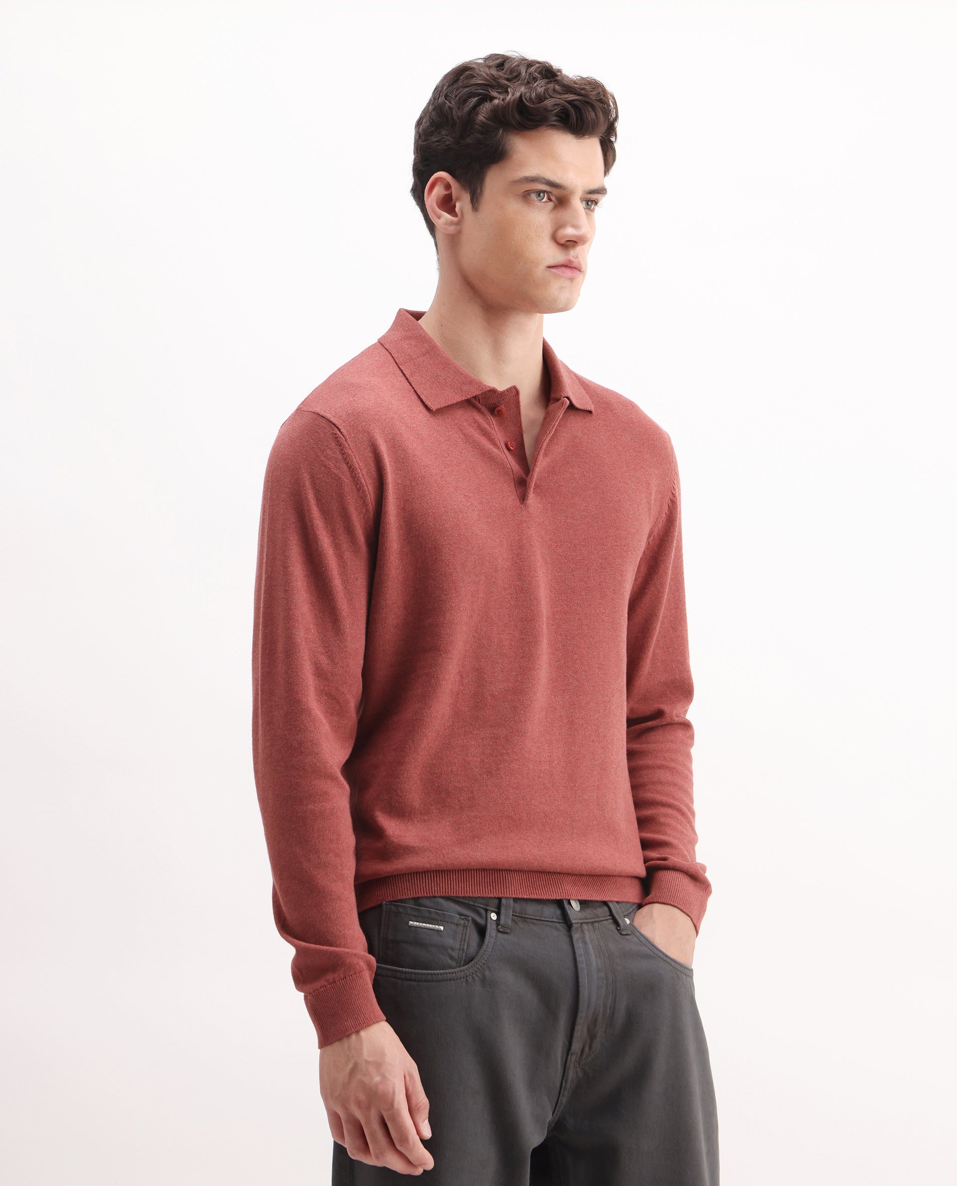 Rare Rabbit Men's Pyer Red Flat Knit Plain Regular Fit Full Sleeve Polo