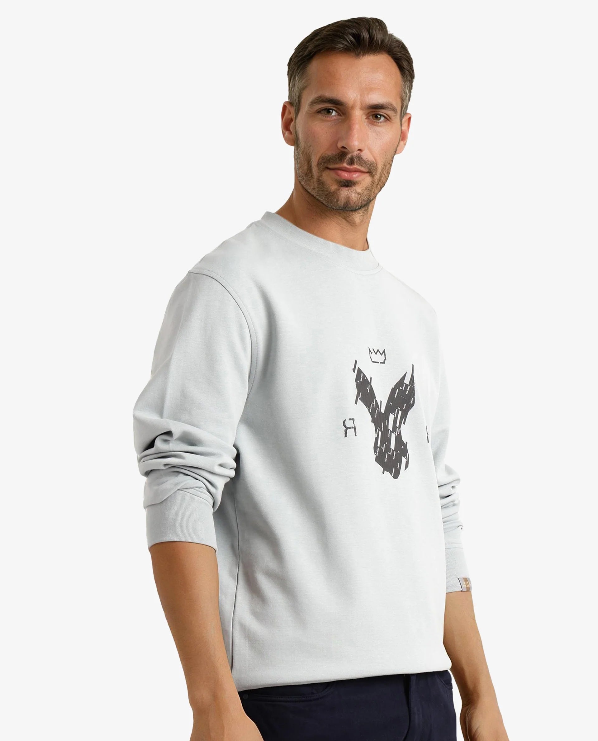Rare Rabbit Men Ref Light Grey Cotton Full Sleeve Crew Neck Regular Fit HD Print Logo Sweatshirt