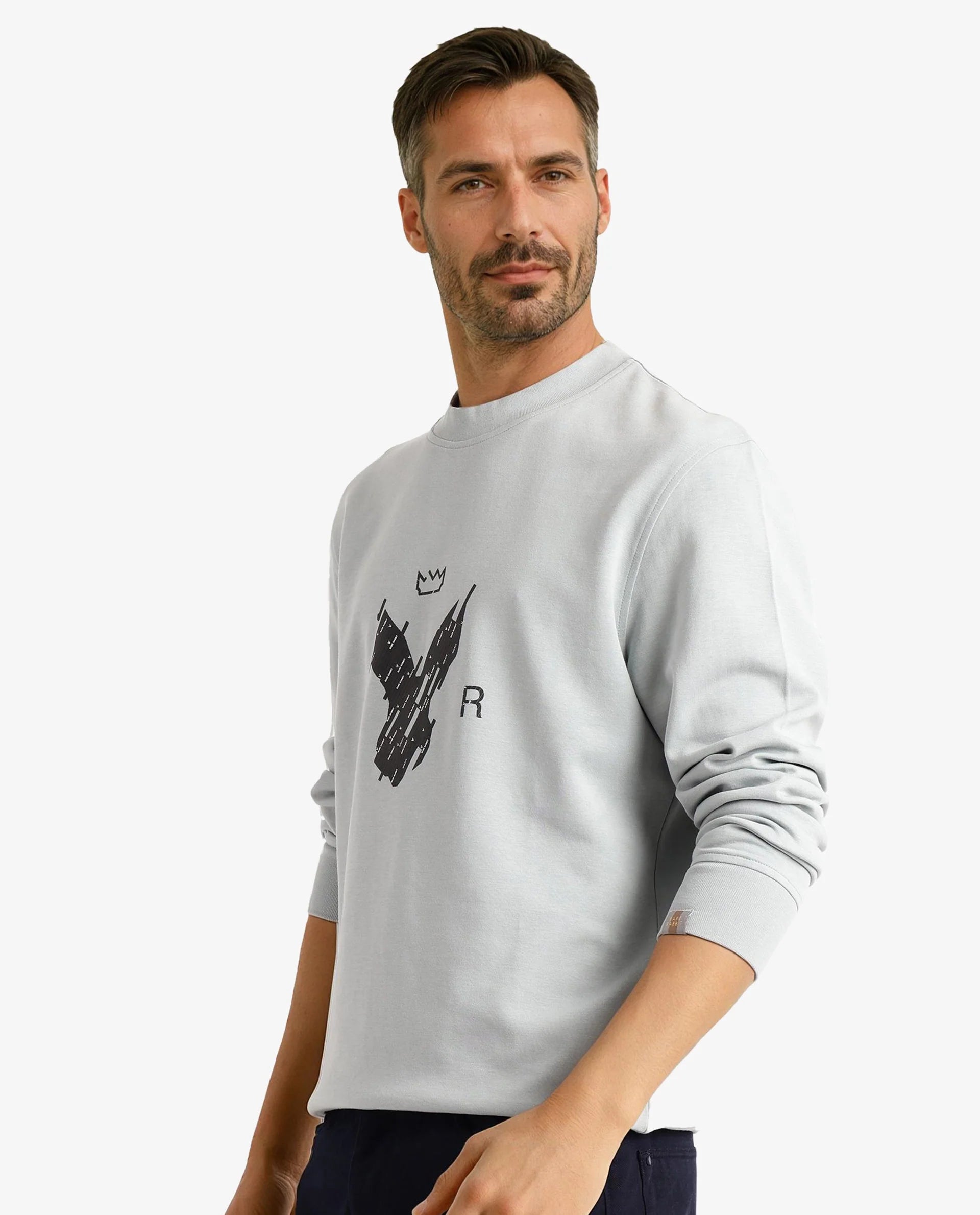 Rare Rabbit Men Ref Light Grey Cotton Full Sleeve Crew Neck Regular Fit HD Print Logo Sweatshirt