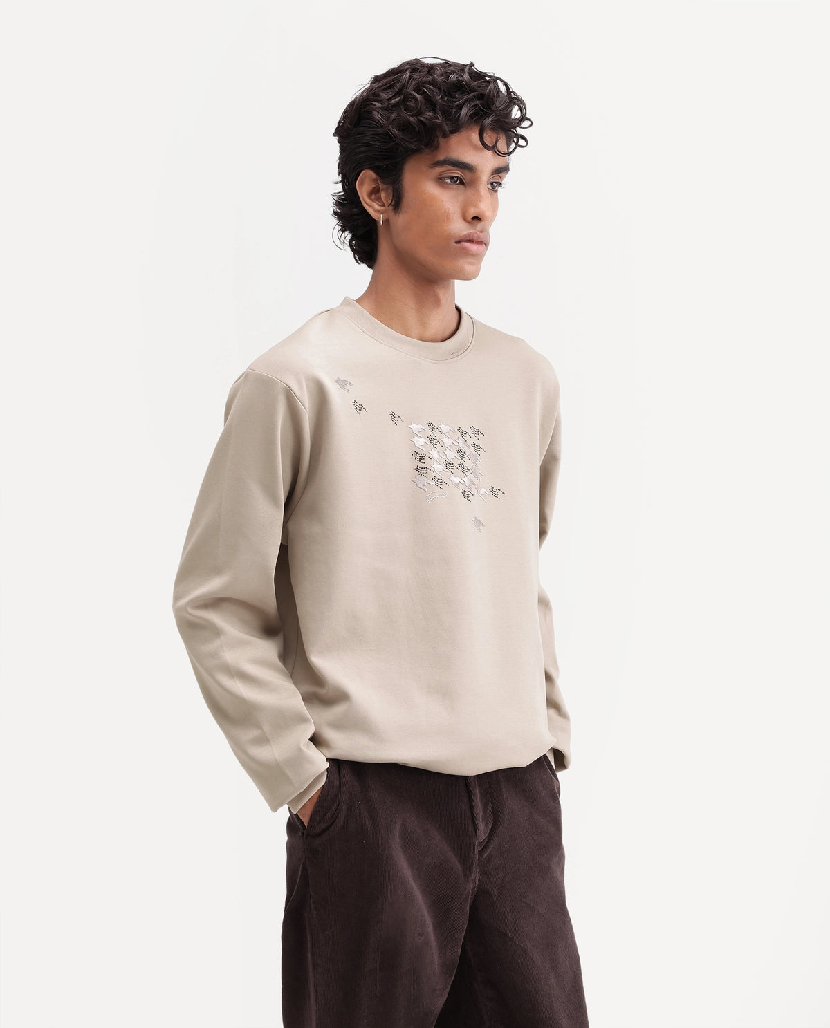 Rare Rabbit Men's Flet Dusky Beige Cotton Blend Crew Neck Regular Branding Sweatshirt