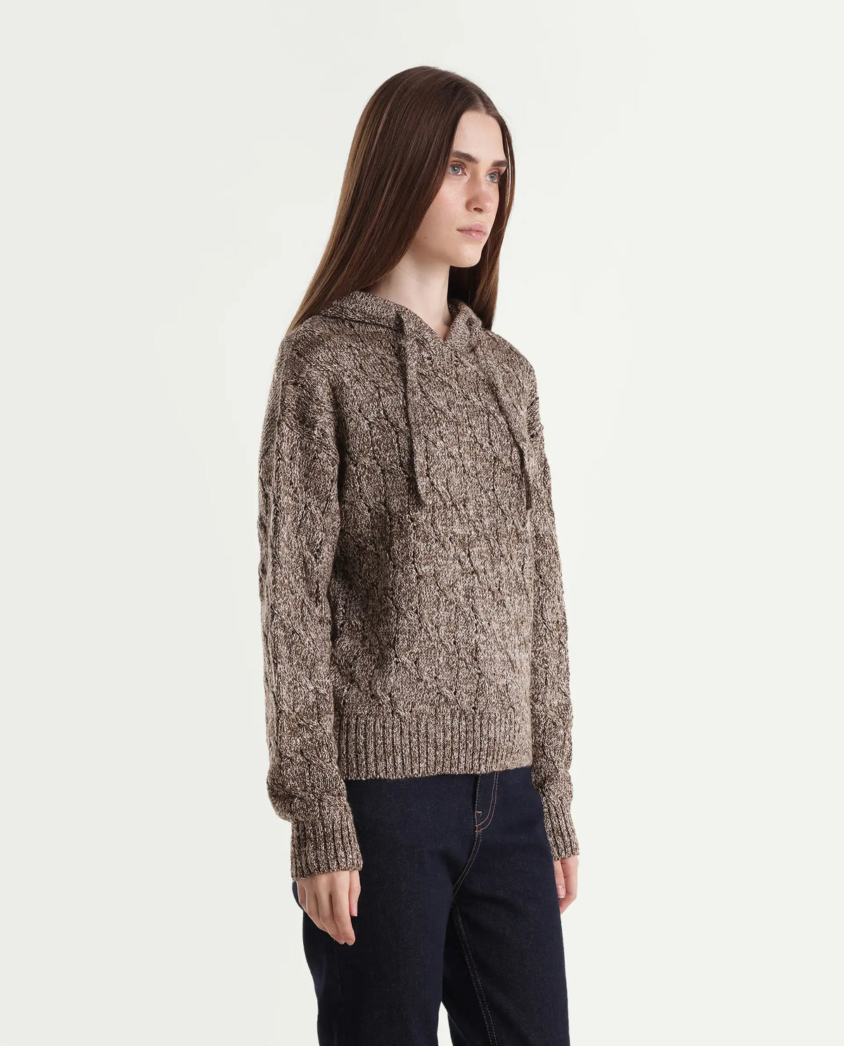 Rareism Women's Lisha Dark Brown Acrylic Blend Hooded Relaxed Plain Sweater
