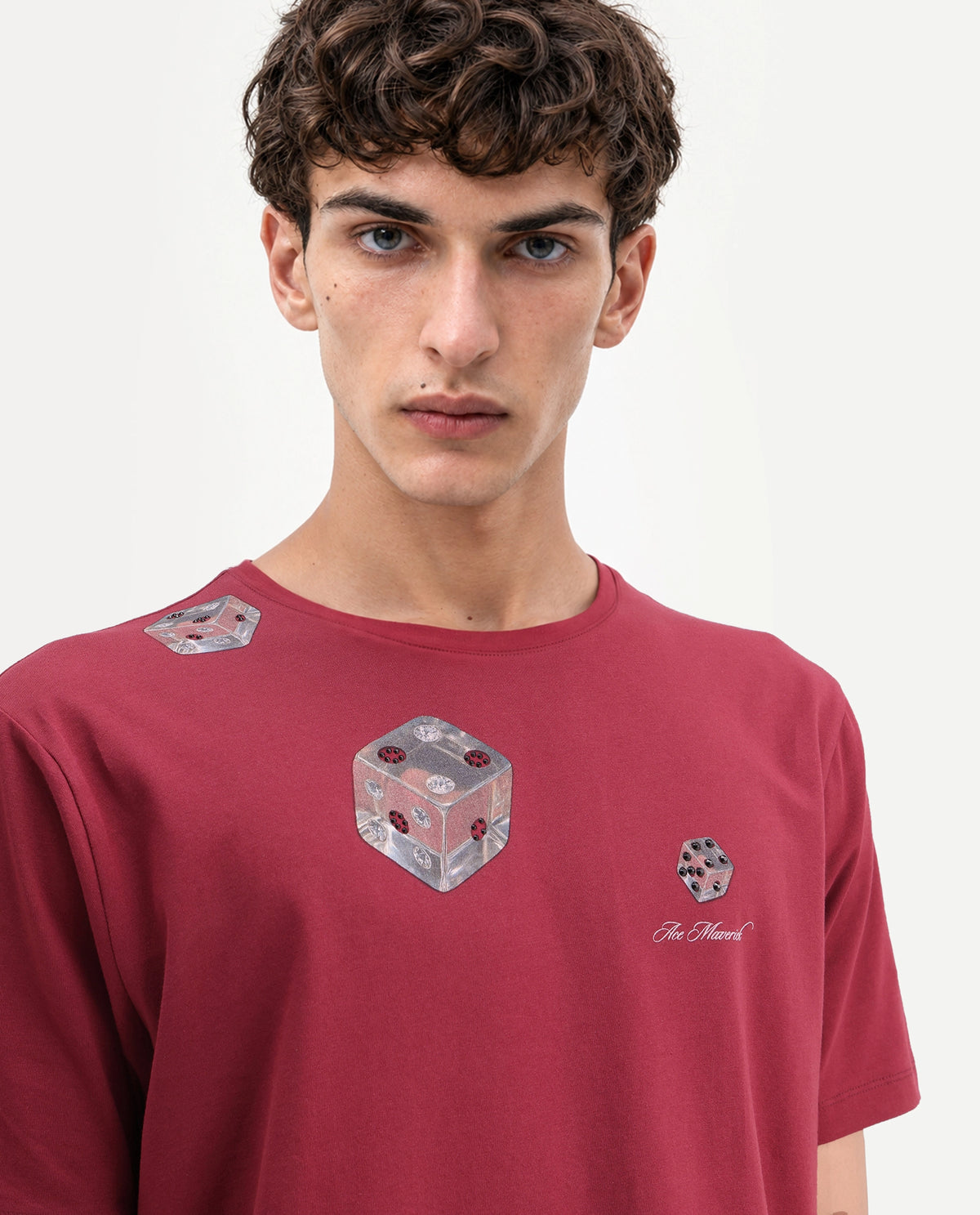 Rare Rabbit Men's Cote Dark Maroon Cotton Blend Crew Neck Regular Graphic Print T-Shirt