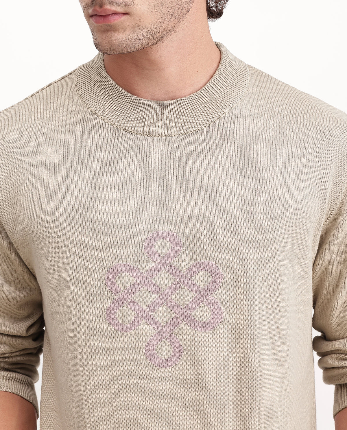 Rare Rabbit Men's Tres Dusky Brown Cotton Crew Neck Regular Graphic Print Sweater