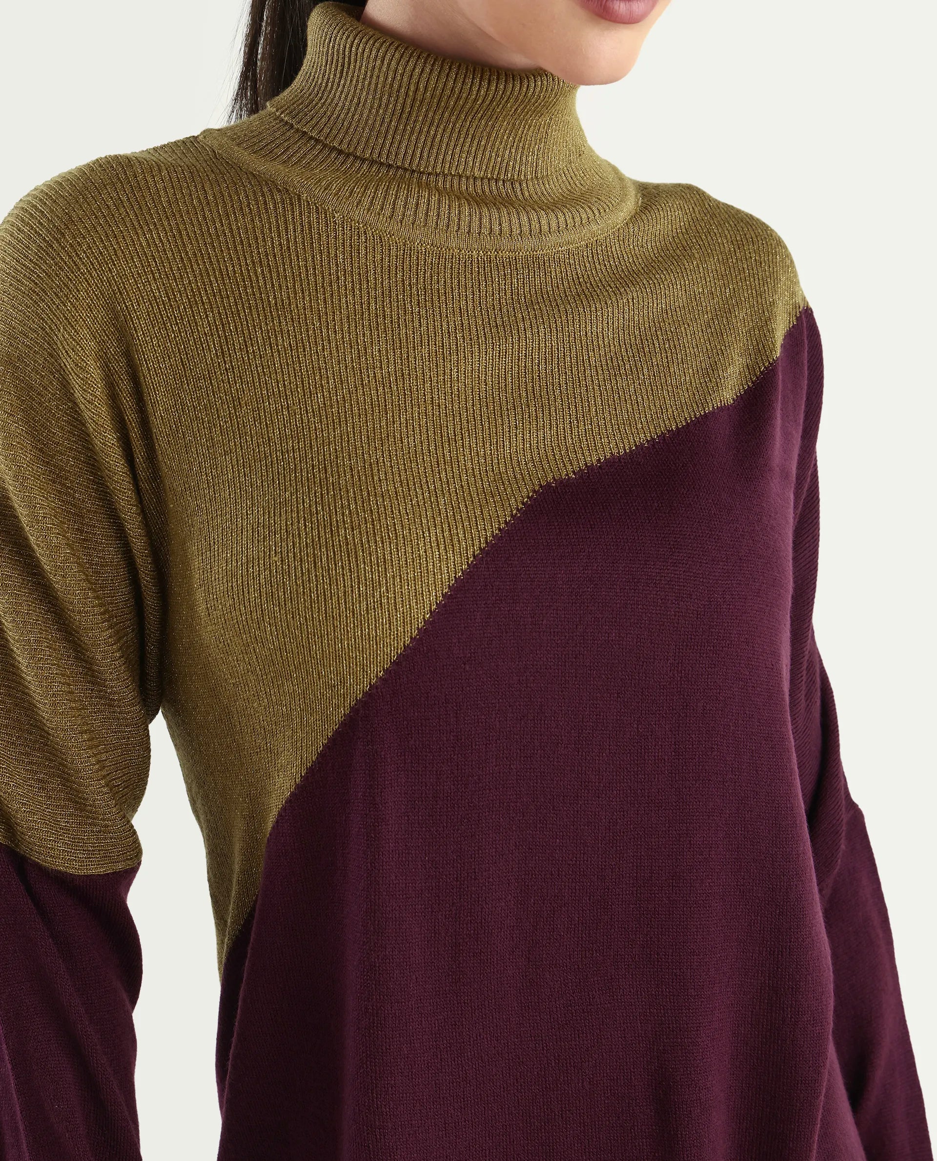 Rareism Women's Spaton Maroon Knit Turtle Neck Plain Knee Length Straight Fit Sweater