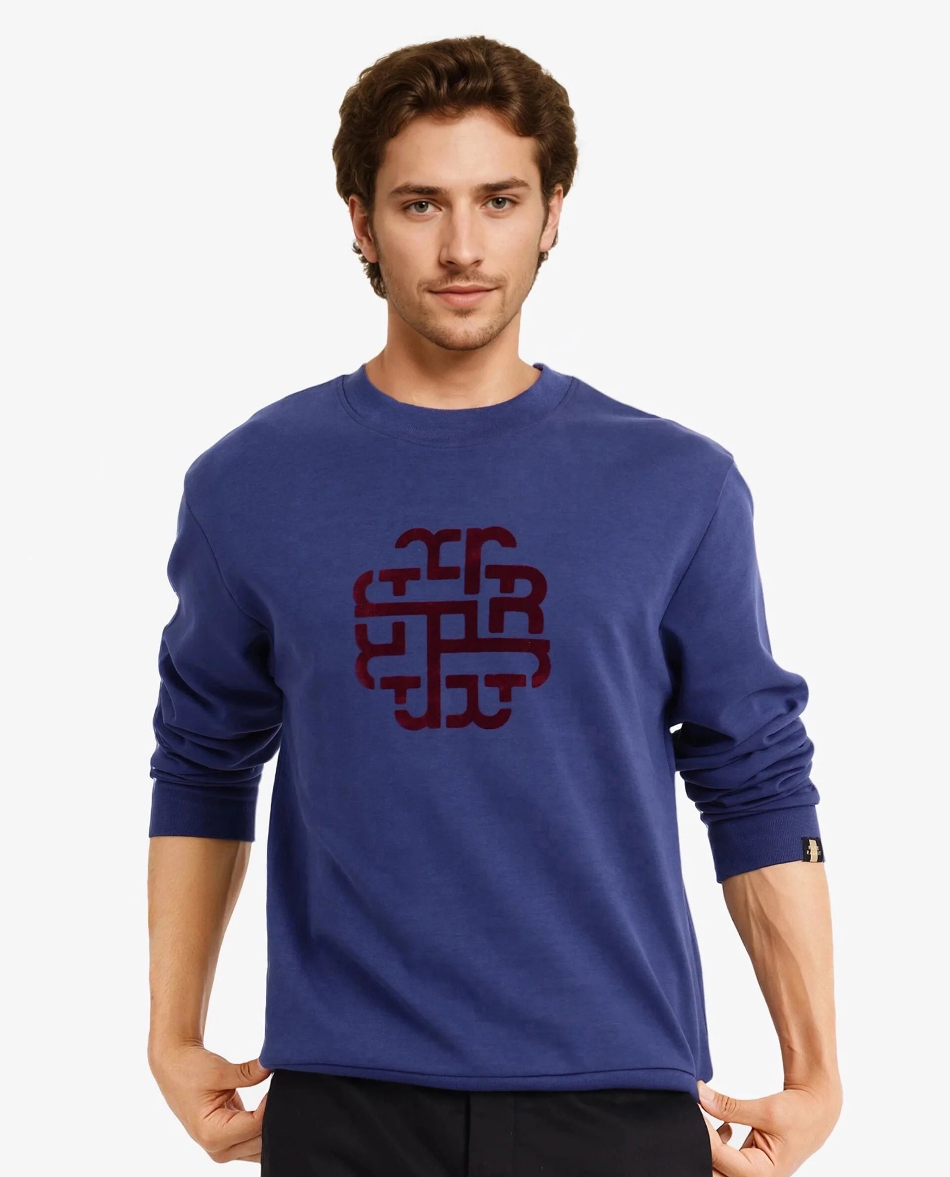 Rare Rabbit Men Toxon Navy Cotton Polyester Fabric Full Sleeve Crew Neck Regular Fit Flock Graphic Print Sweatshirt