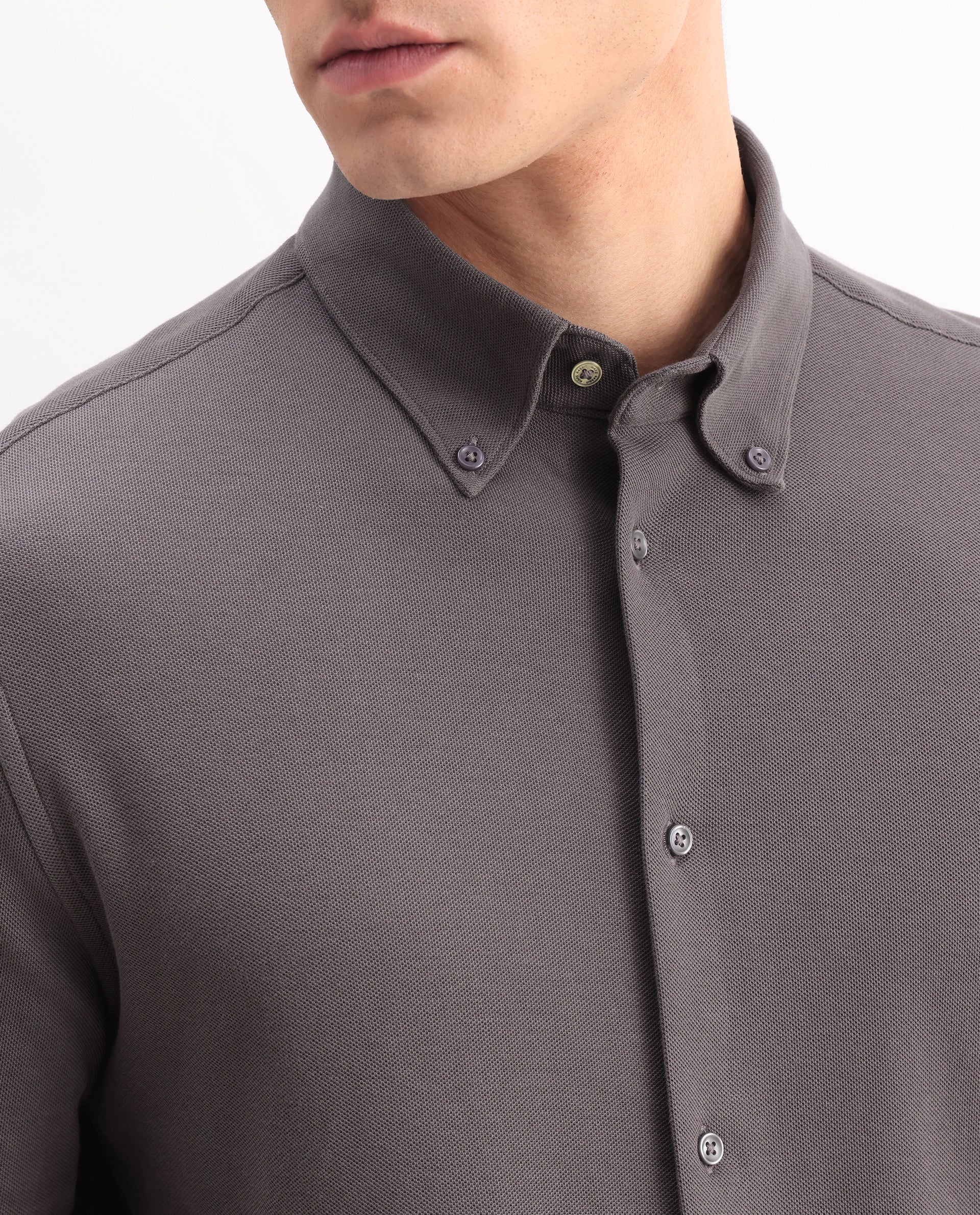 Rare Rabbit Men's Vane-25 Dusky Brown Cotton Plain Regular Fit Full Sleeve Button-Down Collar Shirt