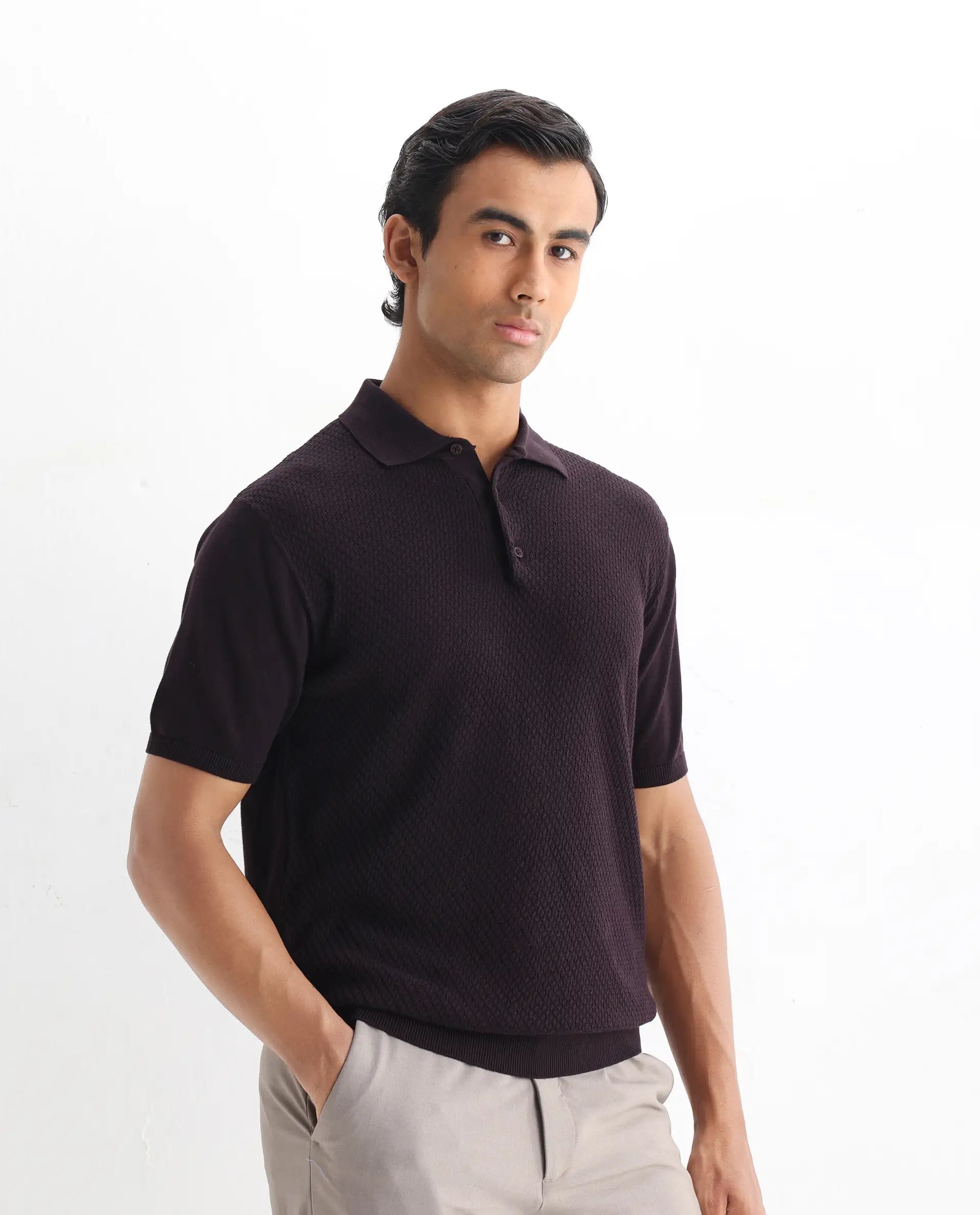 Rare Rabbit Men's Xas Dark Brown Cotton Plain Regular Fit Half Sleeve Polo