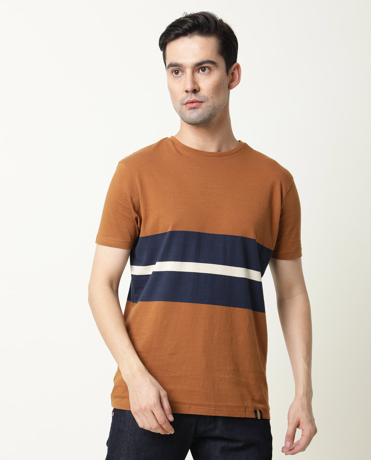 Rare Rabbit Pire Brown Crew Neck Striped Half Sleeves Regular Fit T-Shirt